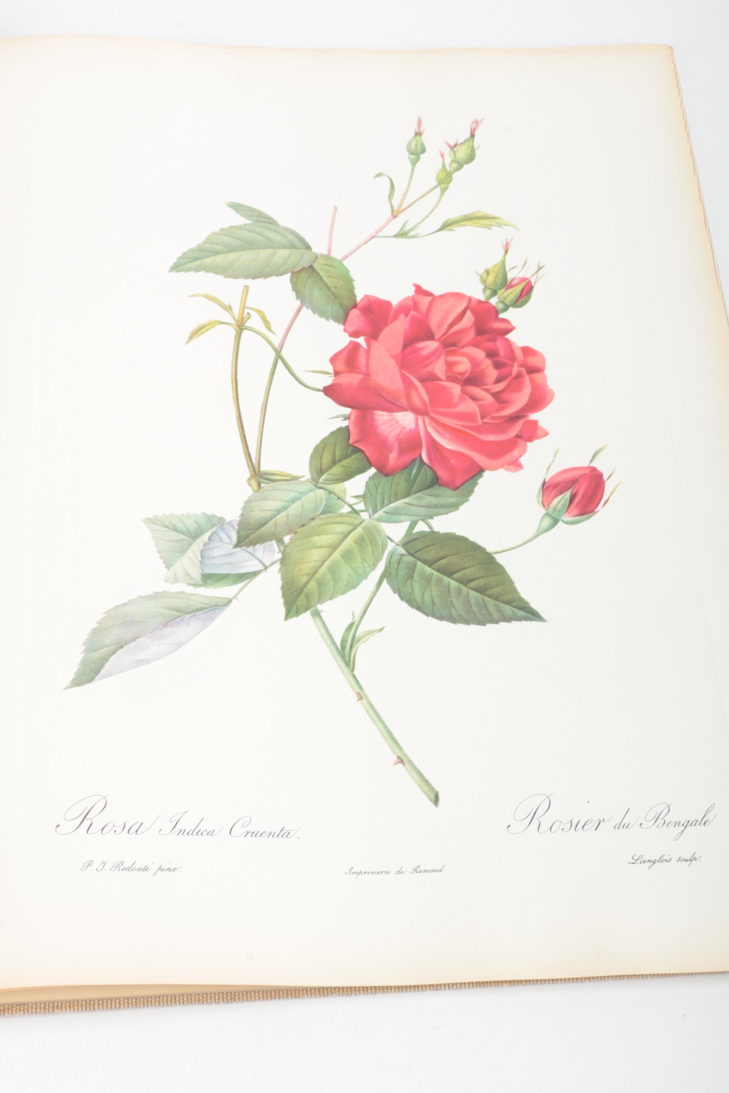 "A Treasury of Art Masterpieces" & "Roses" Art Books