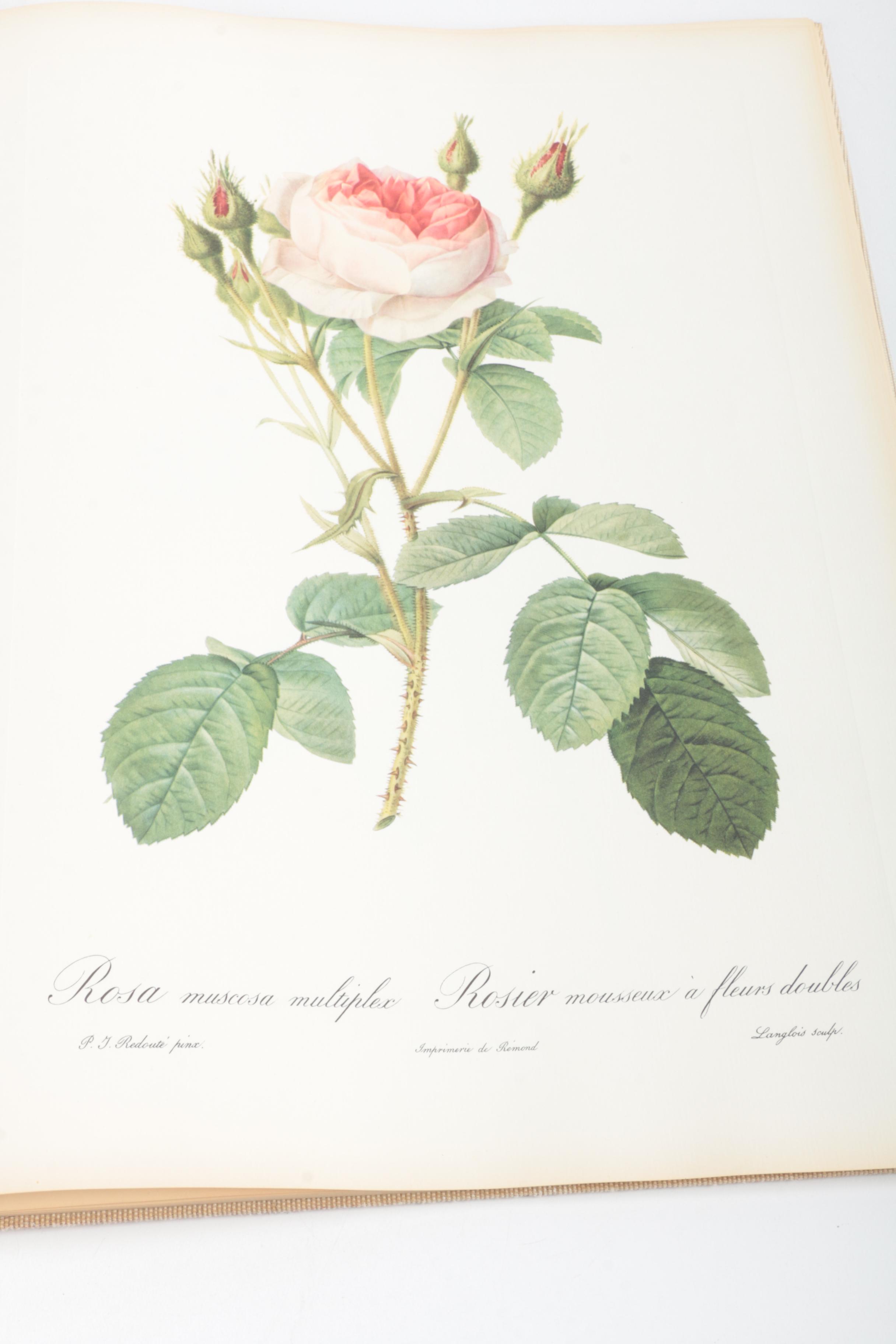"A Treasury of Art Masterpieces" & "Roses" Art Books