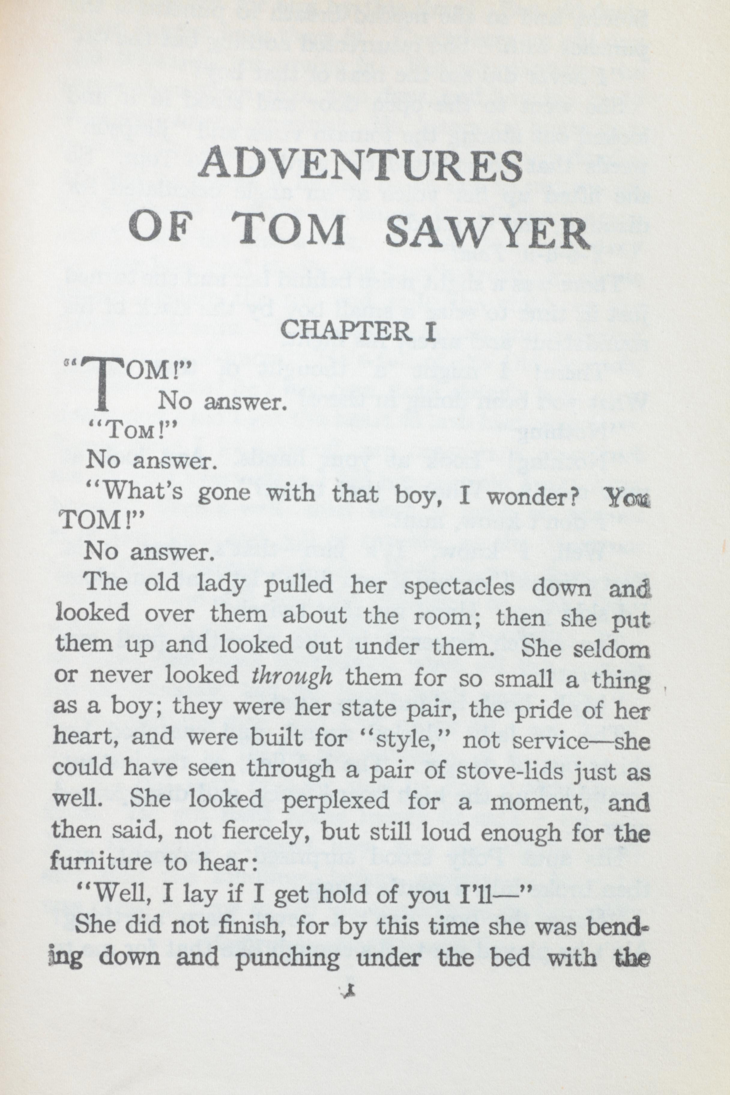 Mark Twain Illustrated Novel Set