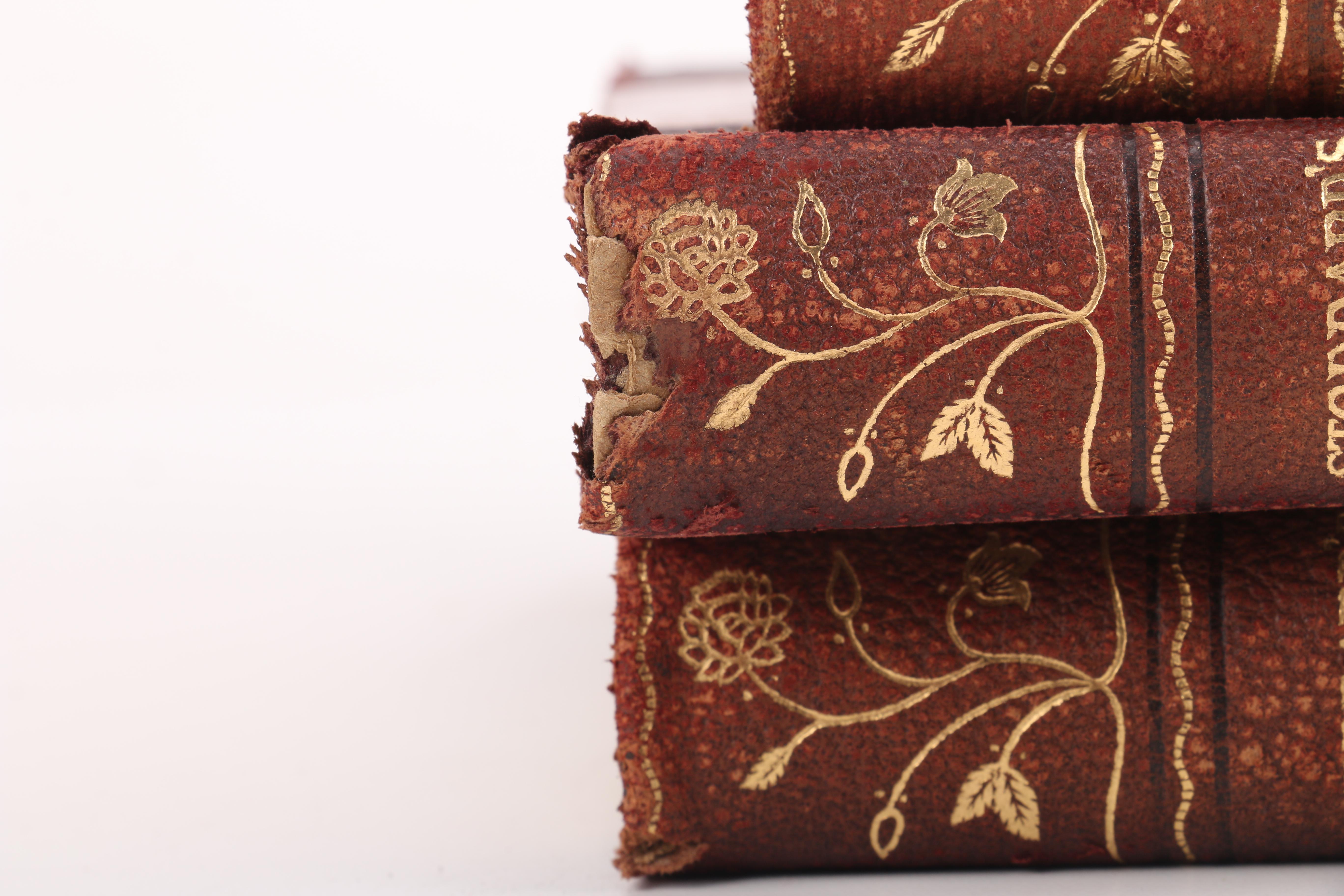 1914 John L. Stoddard Complete Lectures Set Volumes I-X and More