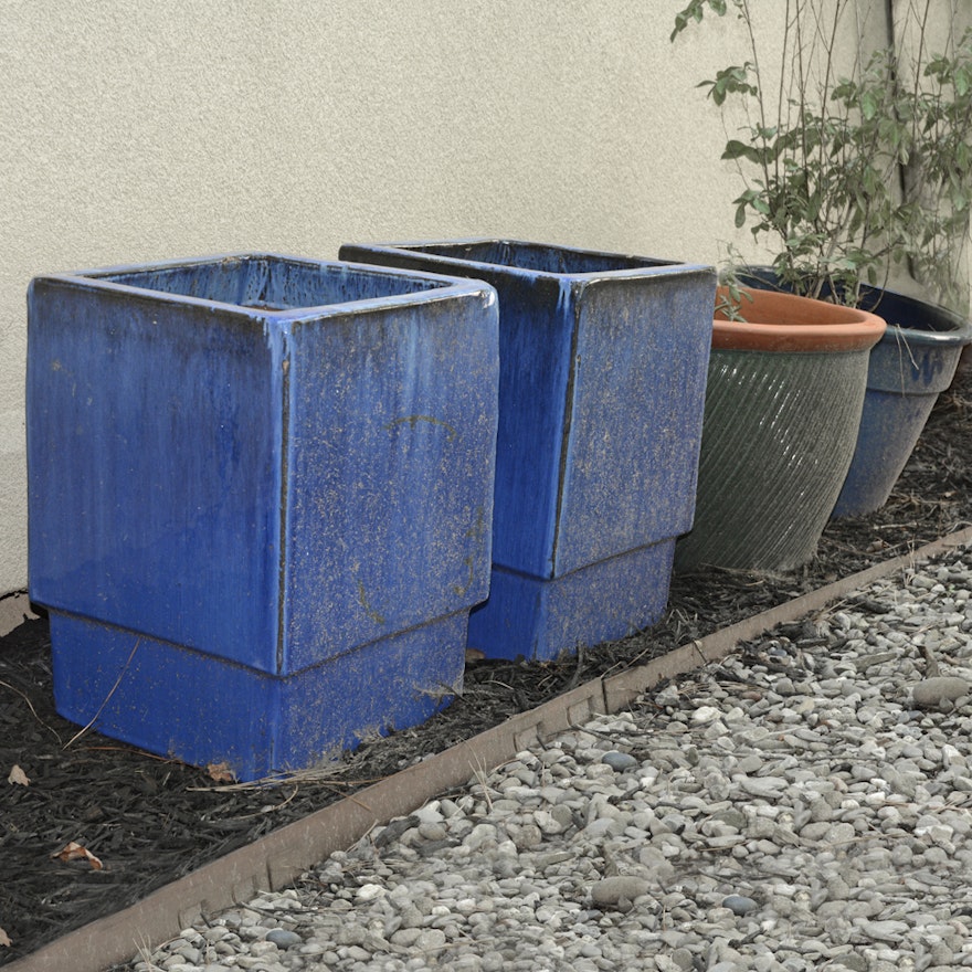 Group of Ceramic Planters and Plant