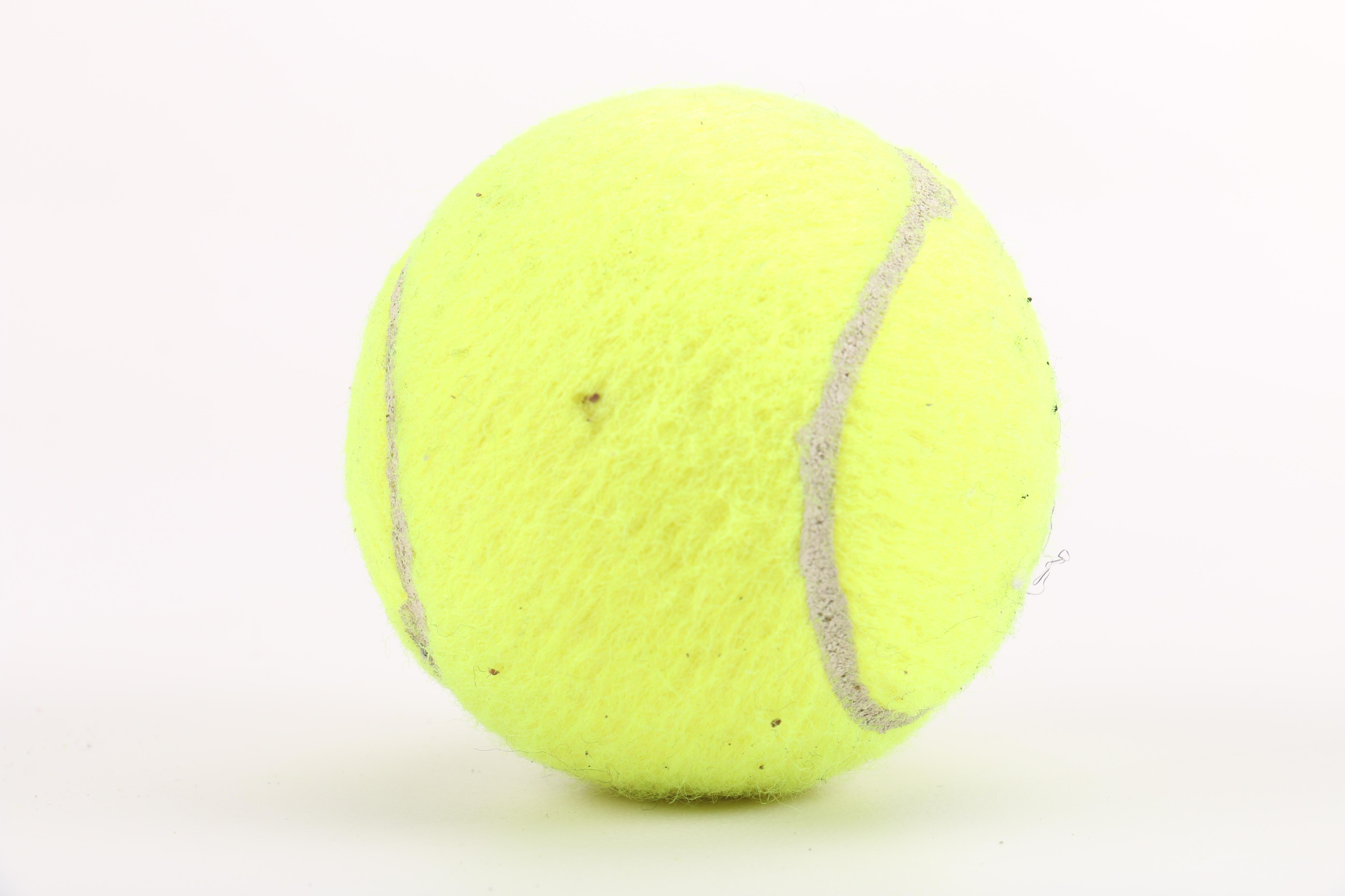 Head, Prince, and Wilson Tennis Rackets With Bag