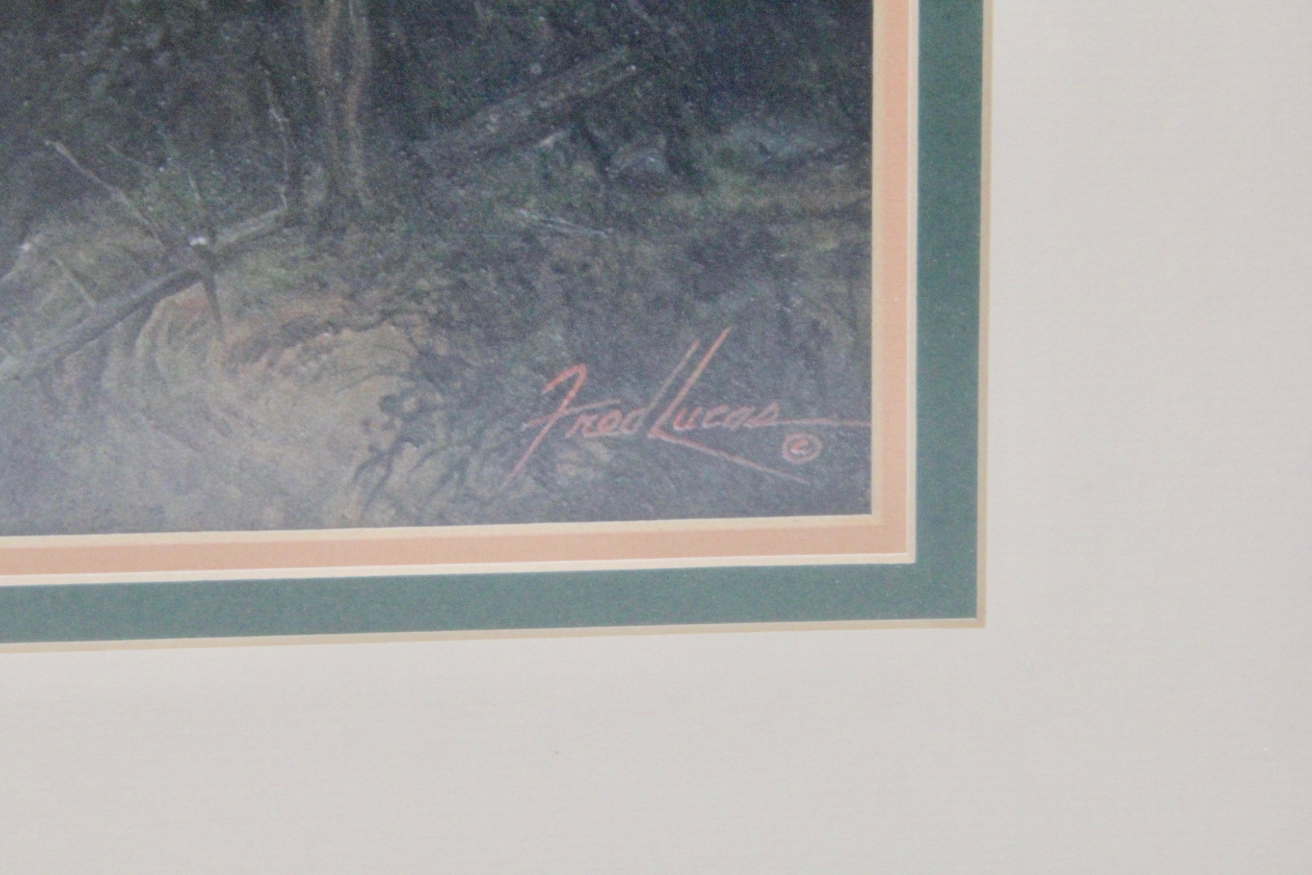 Fred Lucas Limited Edition Print "South Rim"