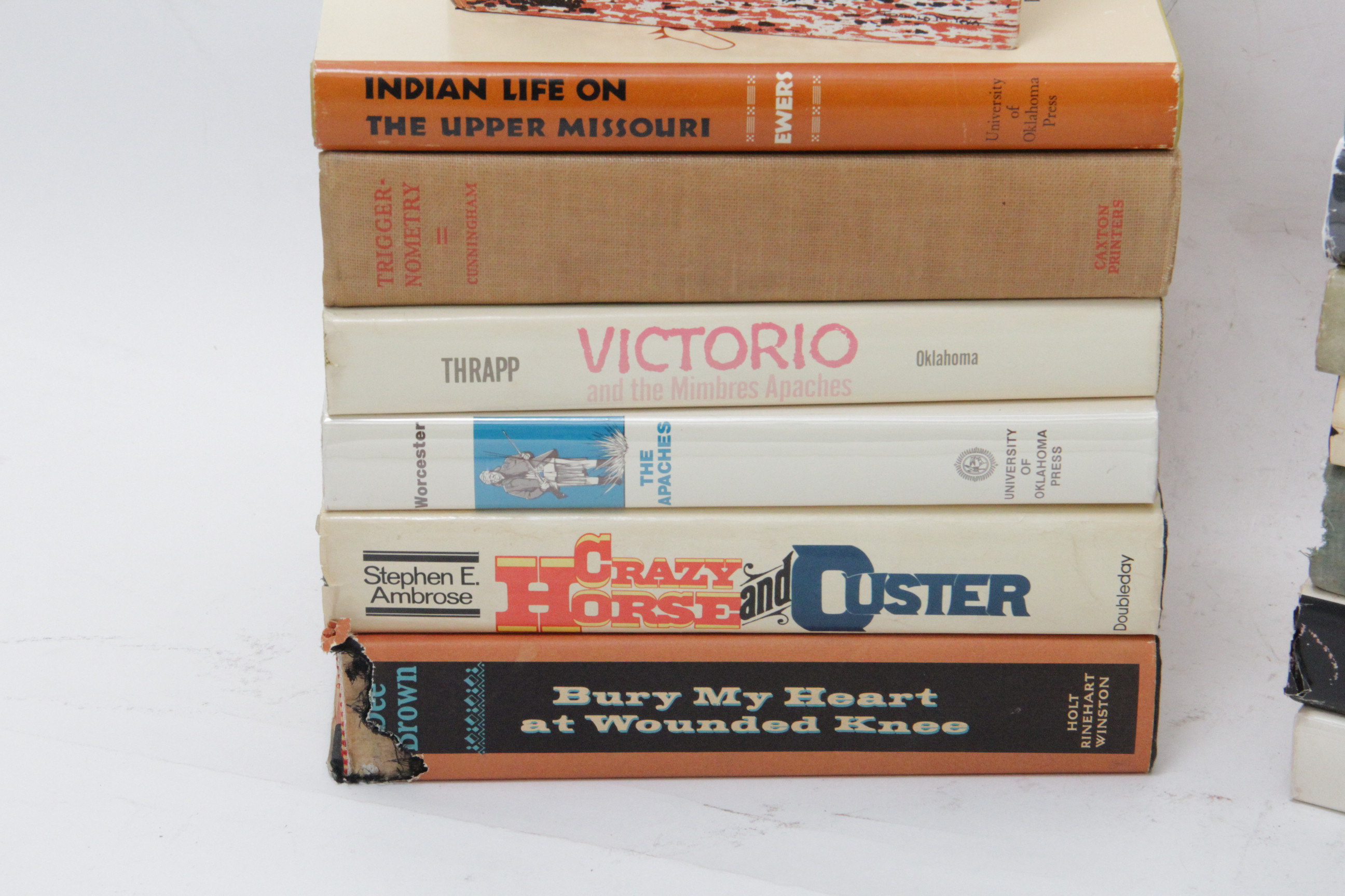 Native American Novels