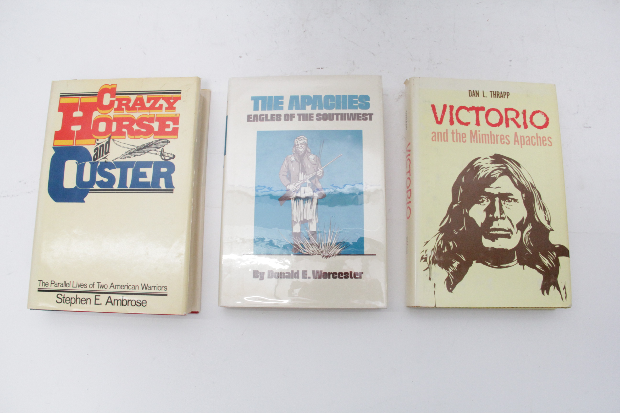 Native American Novels