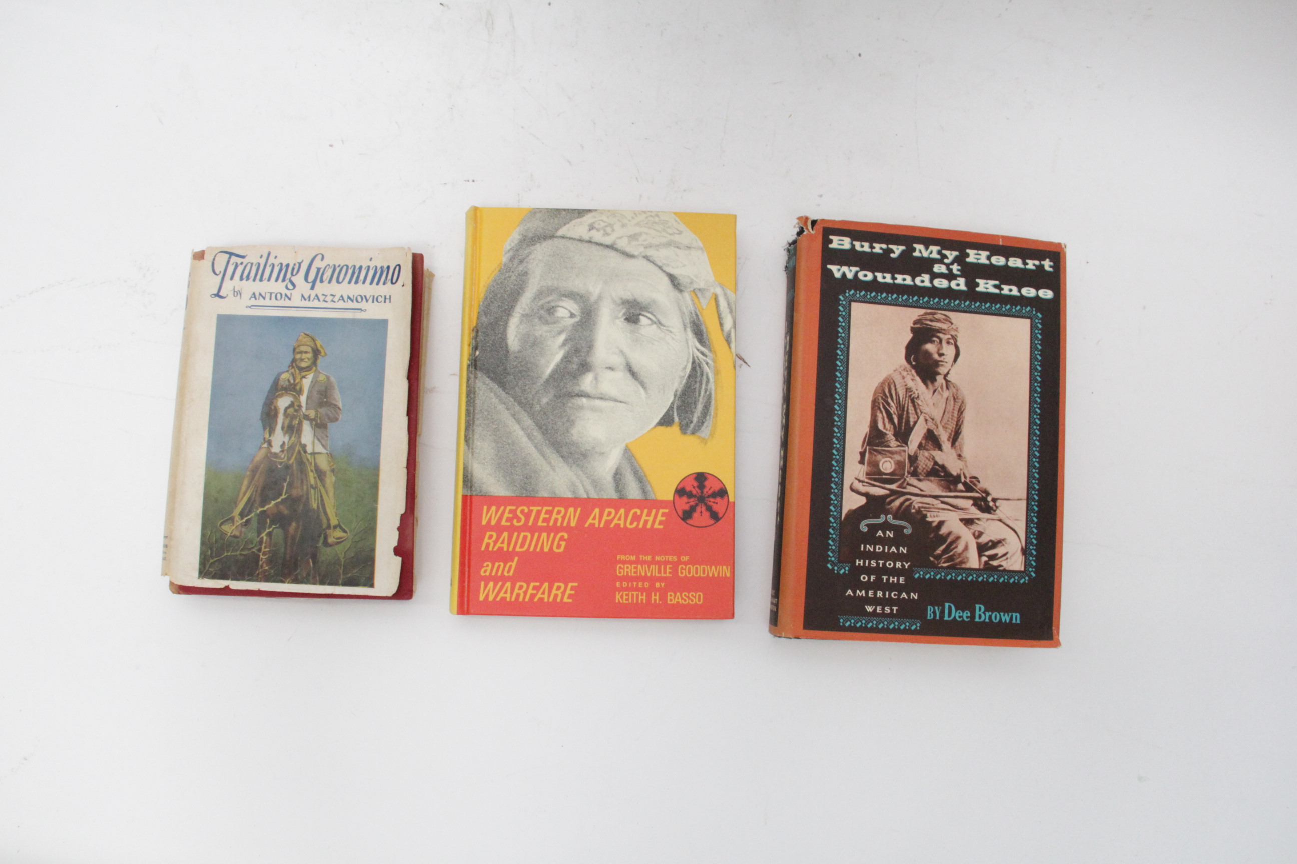 Native American Novels