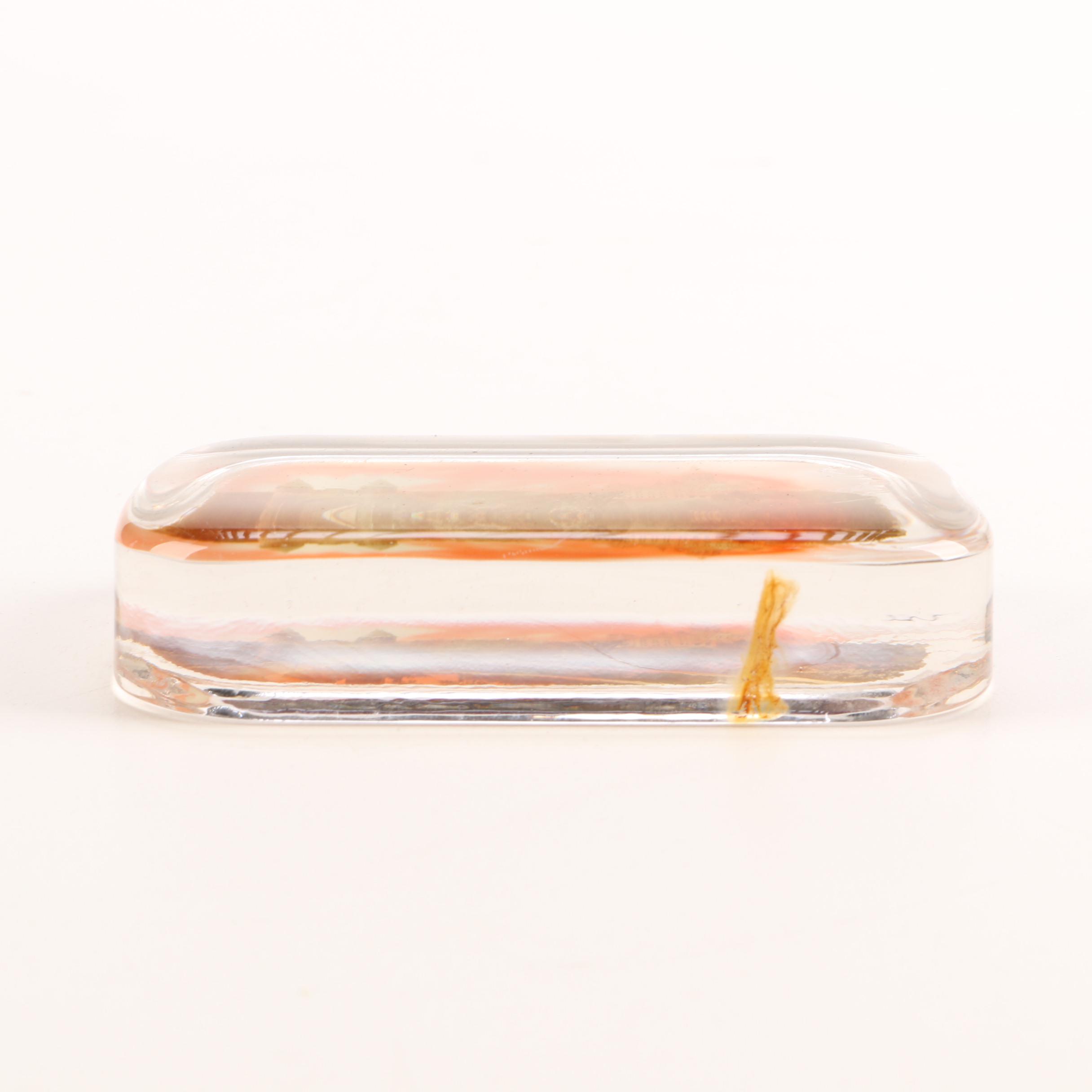 Lithographic Glass Paperweights