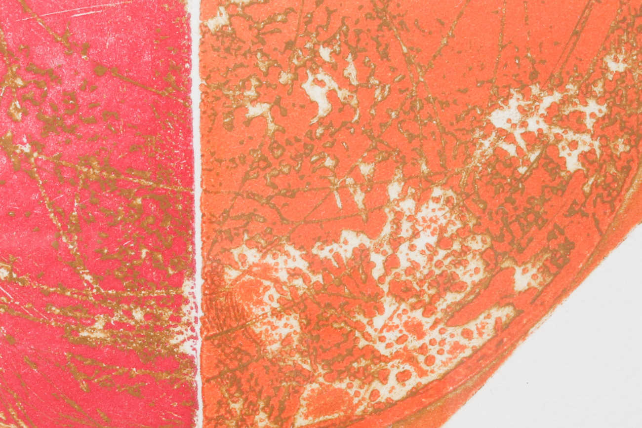 Signed Limited Edition T. Haan Abstract Woodblock Print