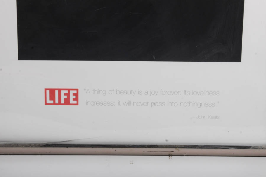 Marilyn Monroe "LIFE" Poster