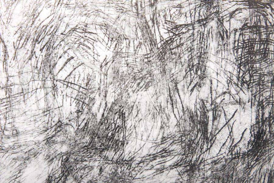 Signed Horse Etching