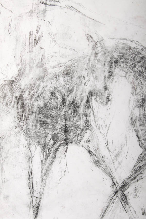 Signed Horse Etching