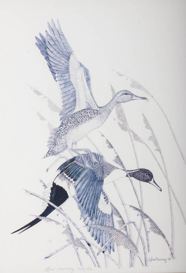 Gene Murray Limited Edition Offset Lithograph of Ducks