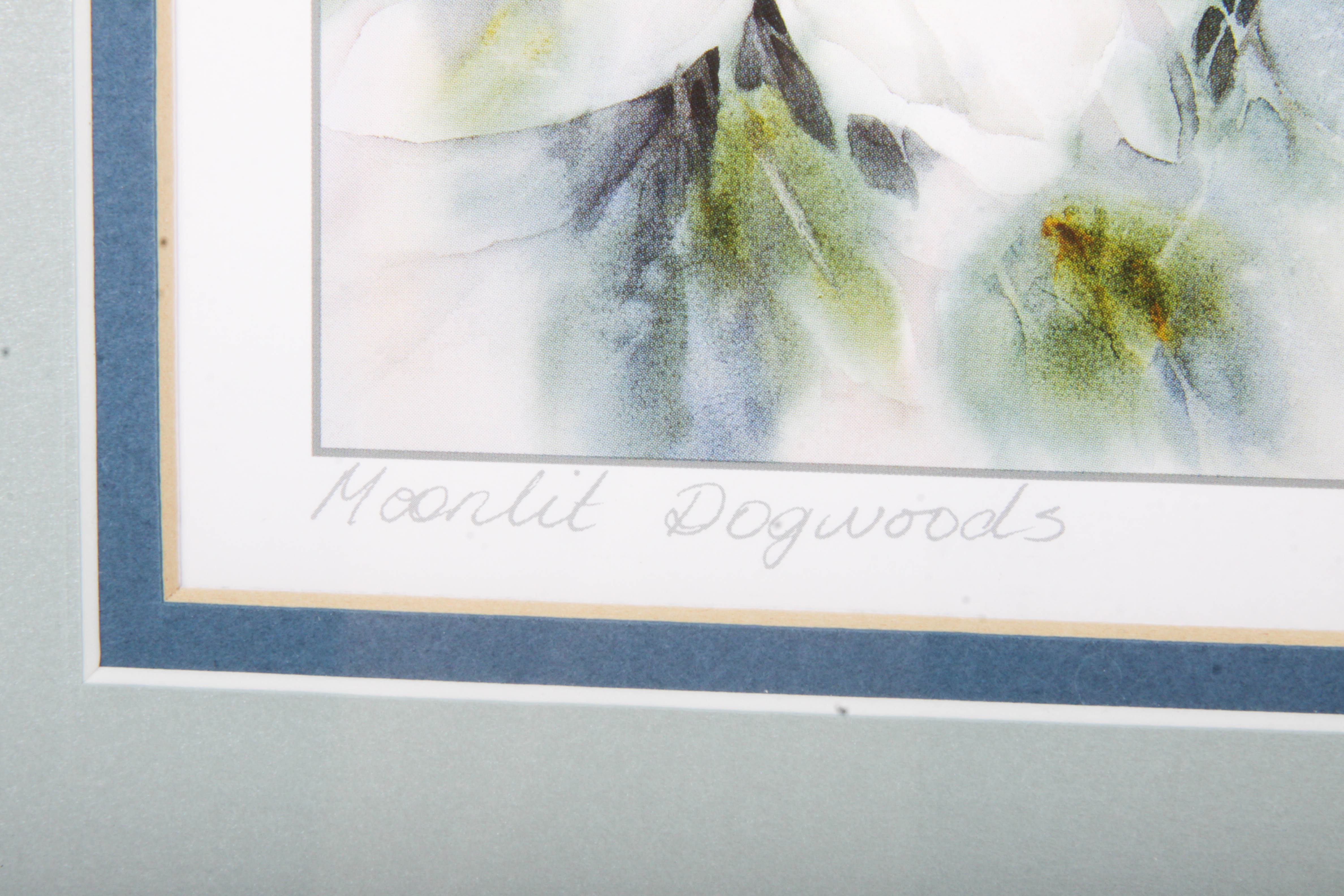 Anne Hunter Offset Lithograph "Moonlit Dogwoods"