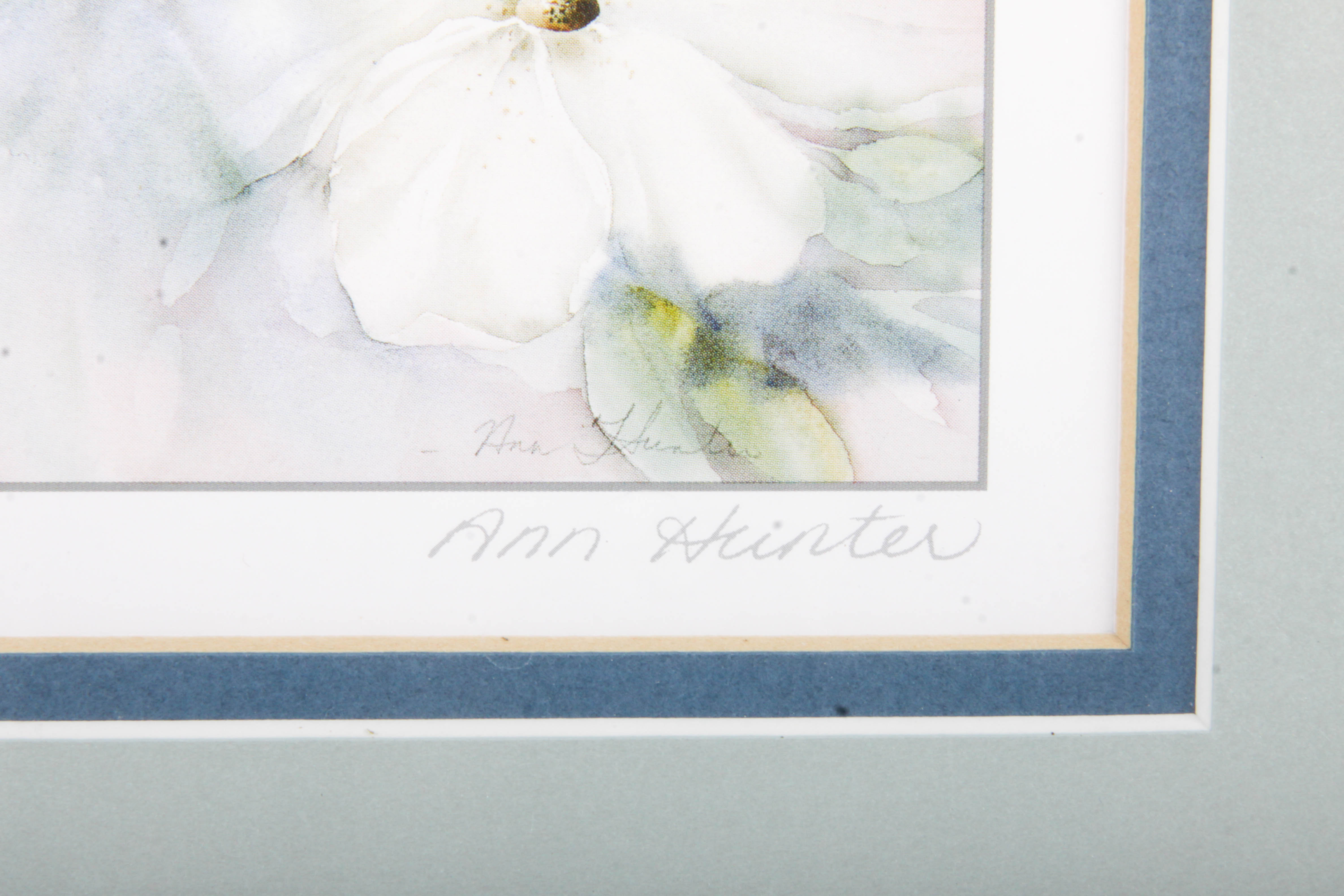 Anne Hunter Offset Lithograph "Moonlit Dogwoods"
