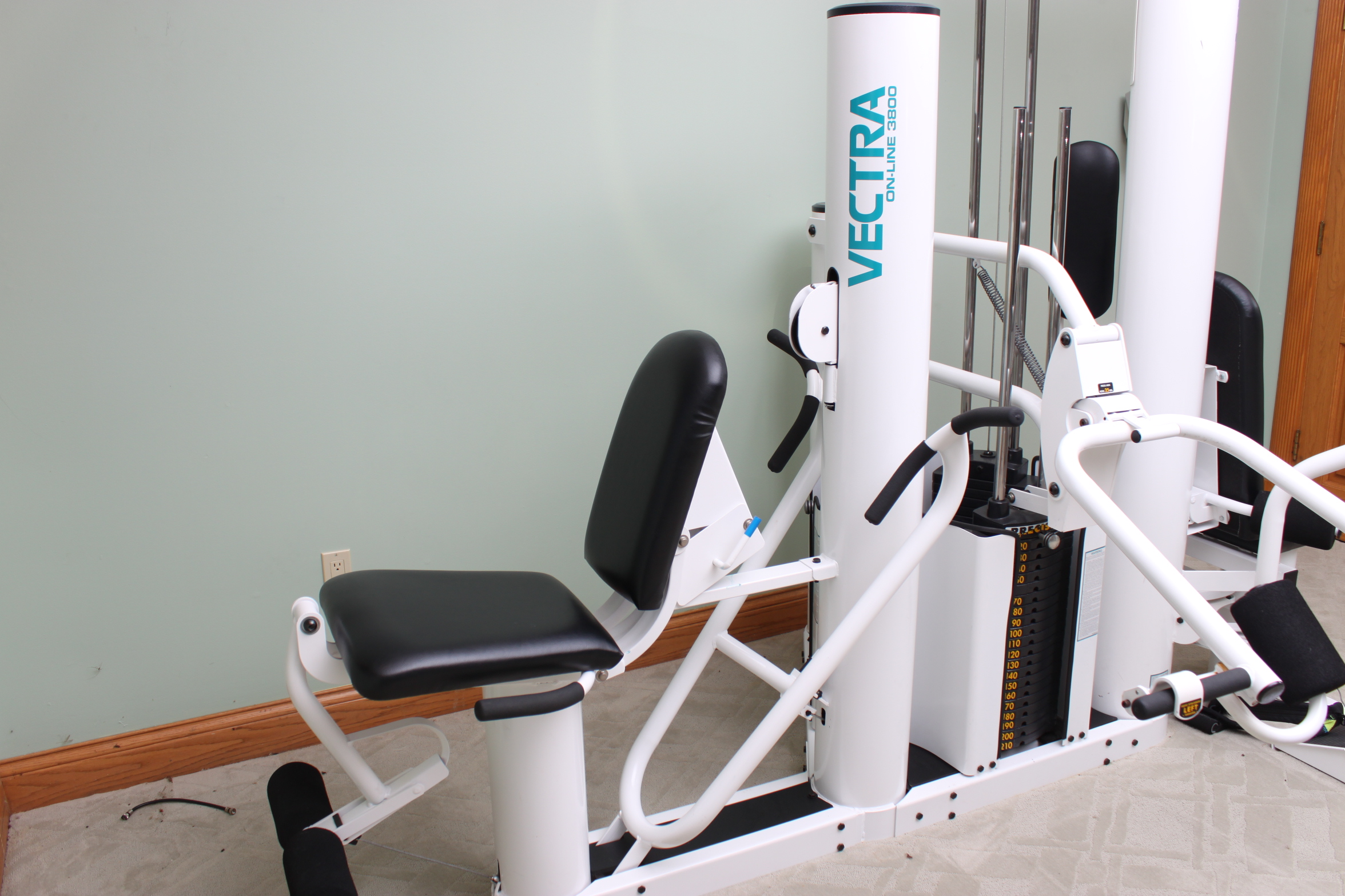 Vectra Online 3800 Weight Set