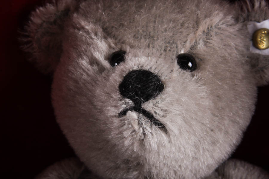 Margarete Steiff Teddy Bear with Original Box