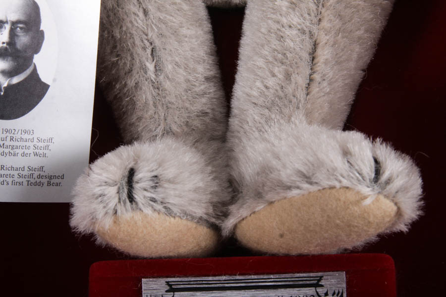 Margarete Steiff Teddy Bear with Original Box