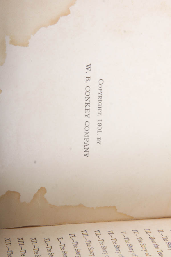 Antique 1900s Book Collection