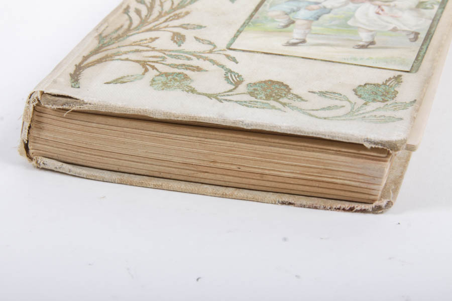 Antique 1900s Book Collection