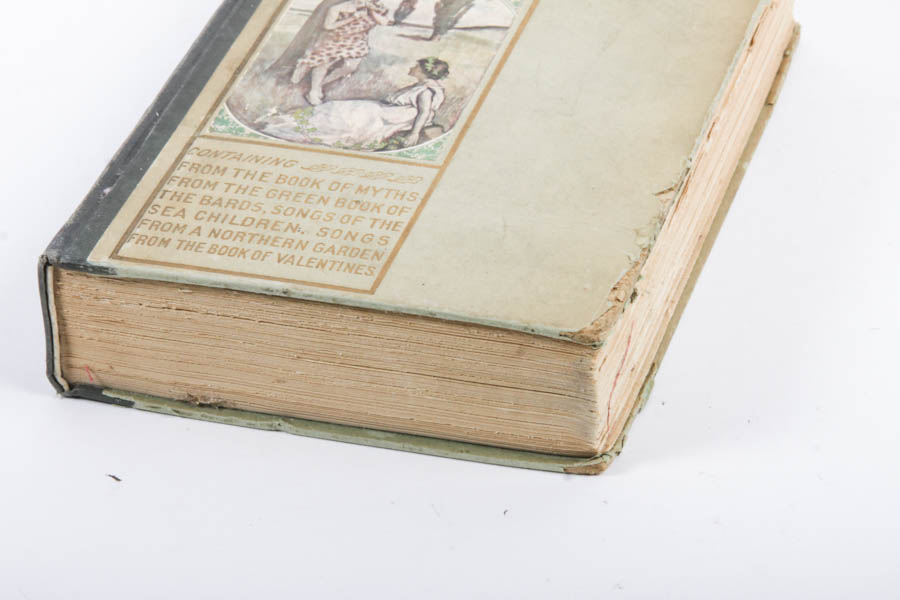 Antique 1900s Book Collection