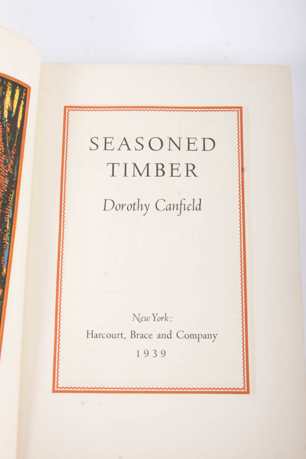 Vintage Novel Collection Including "Pinocchio"