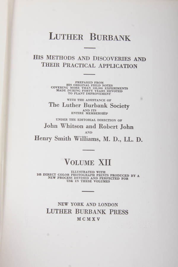 Group of Antique and Vintage Historical Books