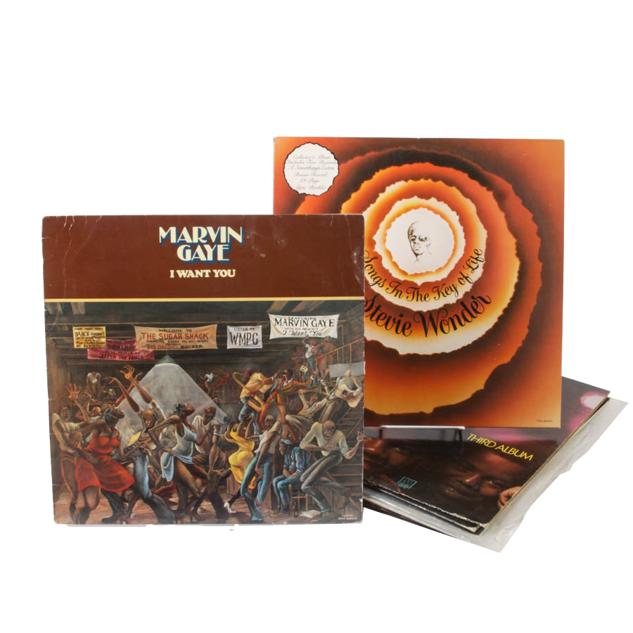 Stevie Wonder, Marvin Gaye and Other Soul/R&B LPs