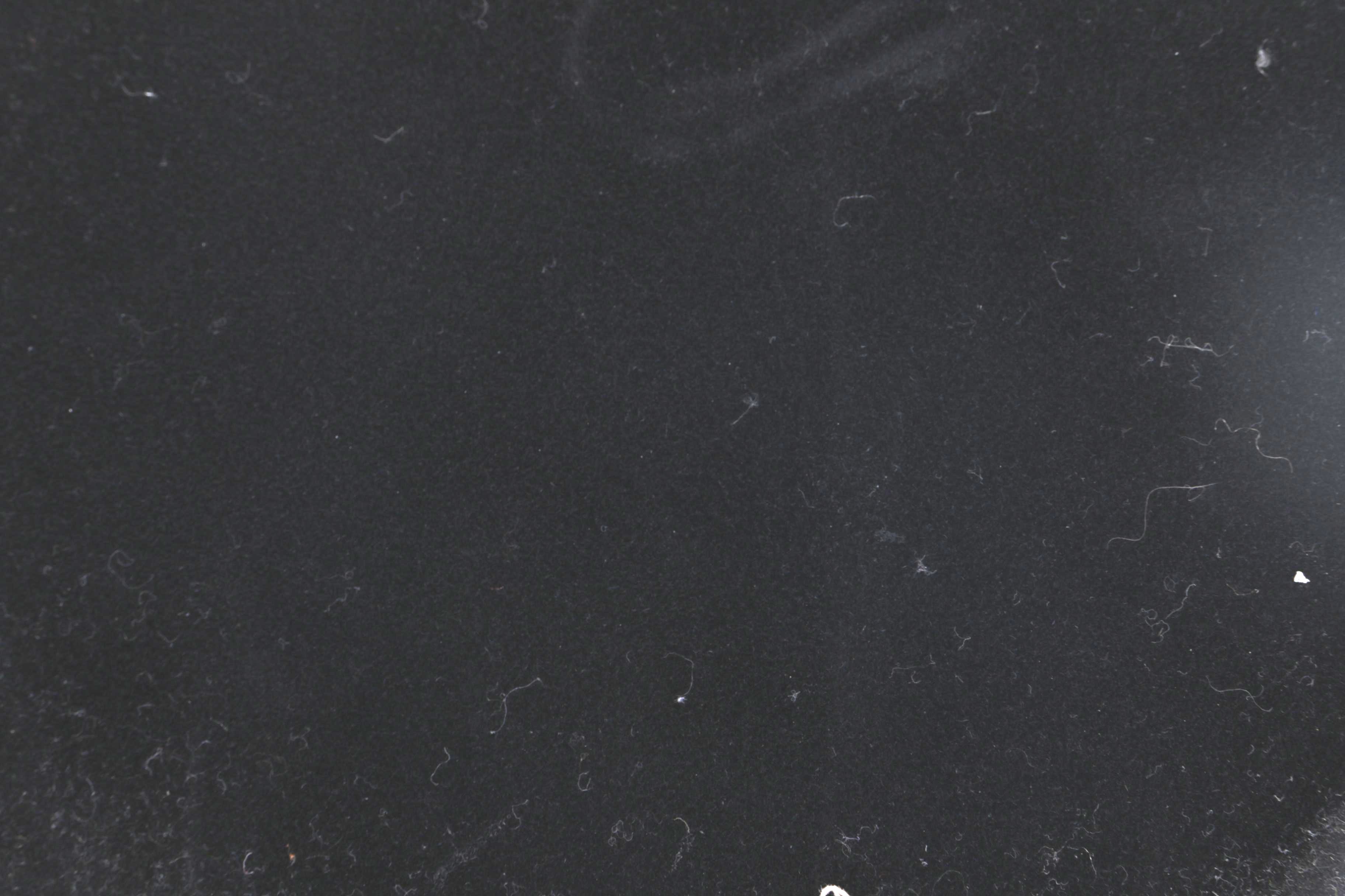 Pair of Ornate Metal Desk Lamps