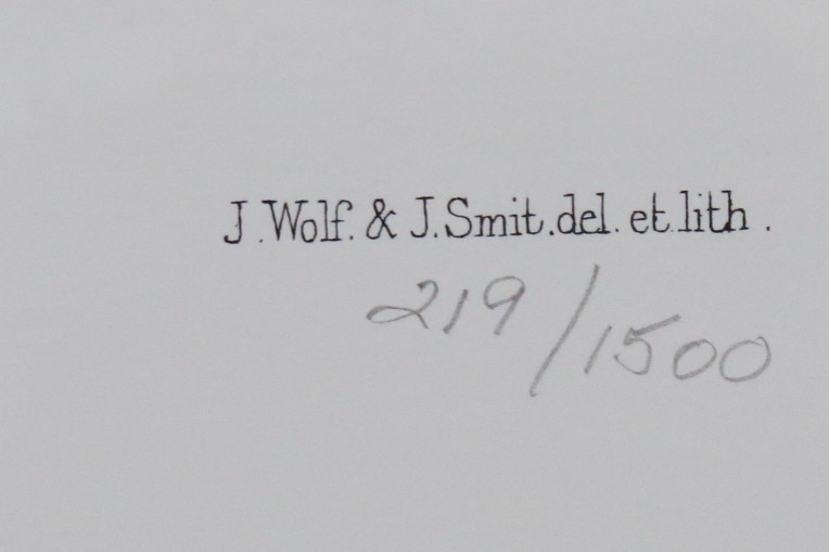 Limited Edition Phasianus Torquatus Lithograph by Daniel Giraud Elliot