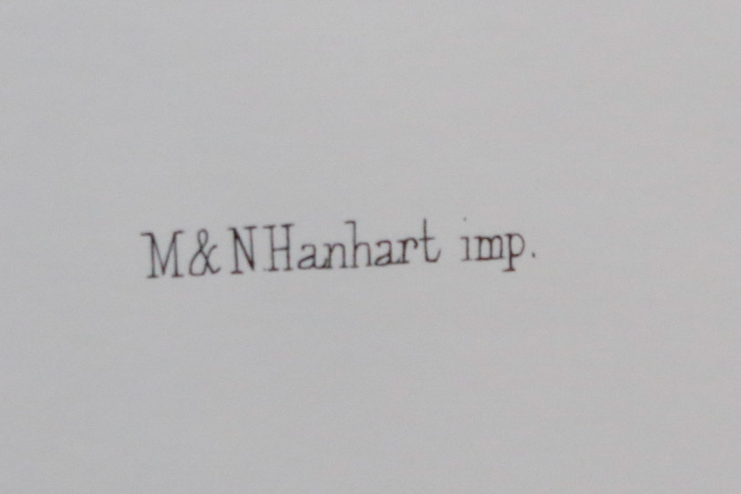 Limited Edition Phasianus Torquatus Lithograph by Daniel Giraud Elliot