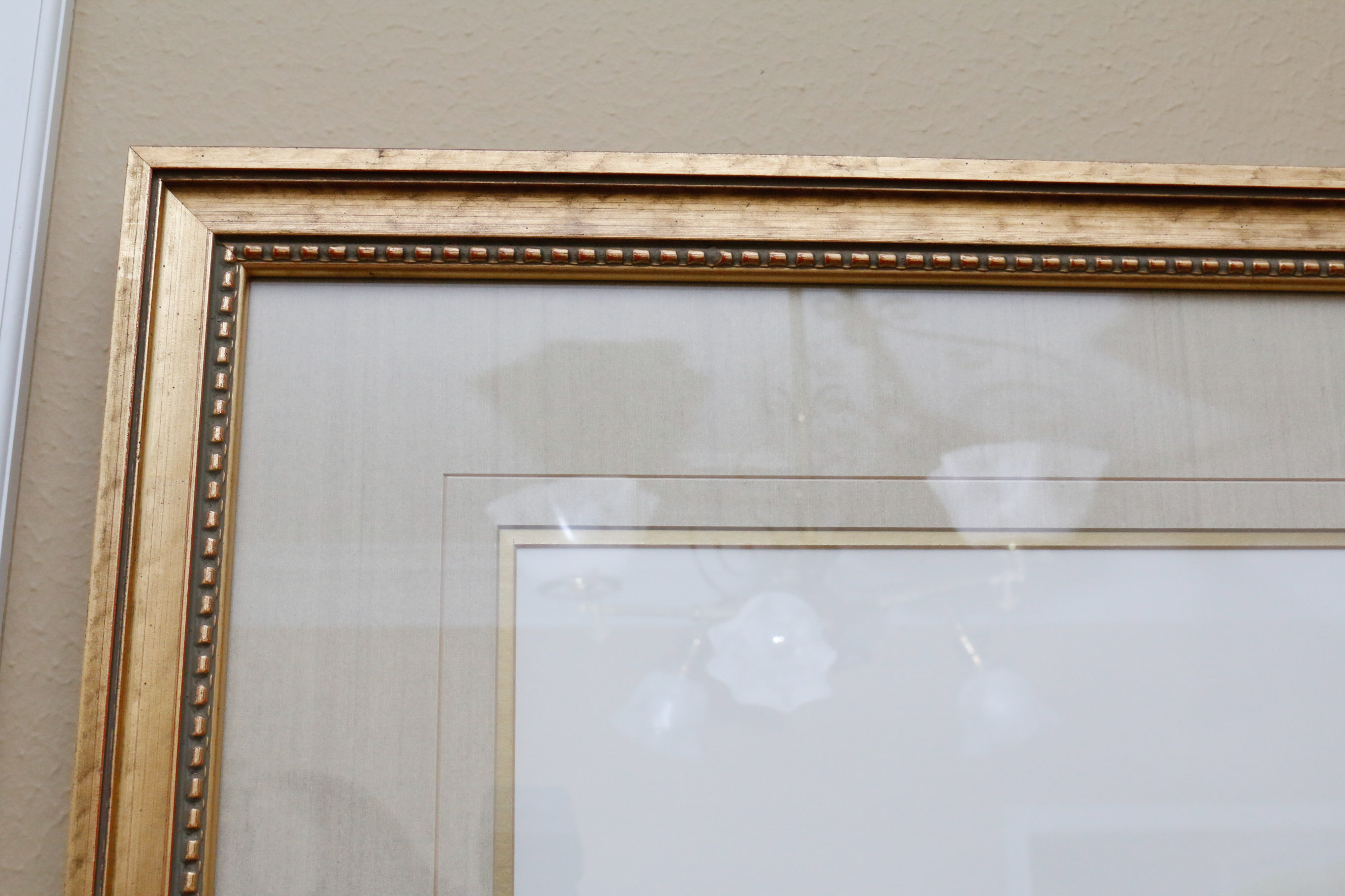 Limited Edition Phasianus Torquatus Lithograph by Daniel Giraud Elliot