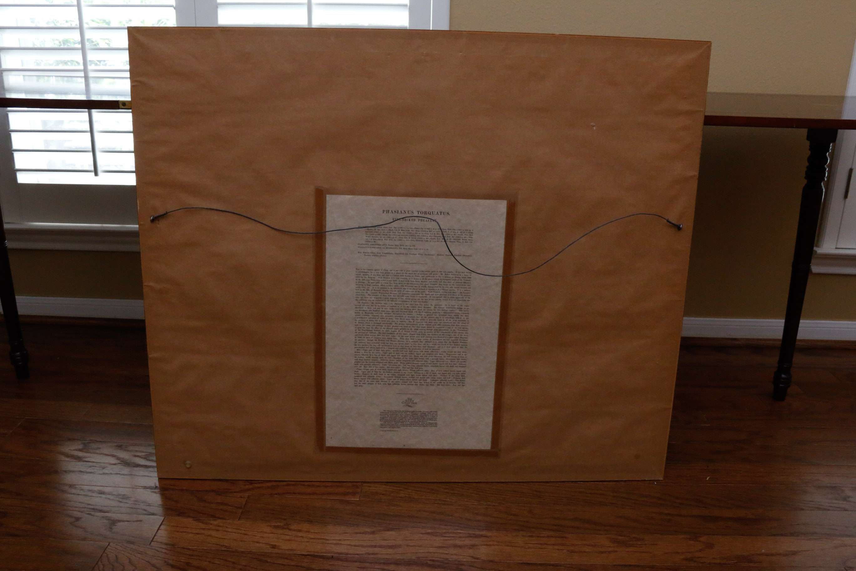 Limited Edition Phasianus Torquatus Lithograph by Daniel Giraud Elliot