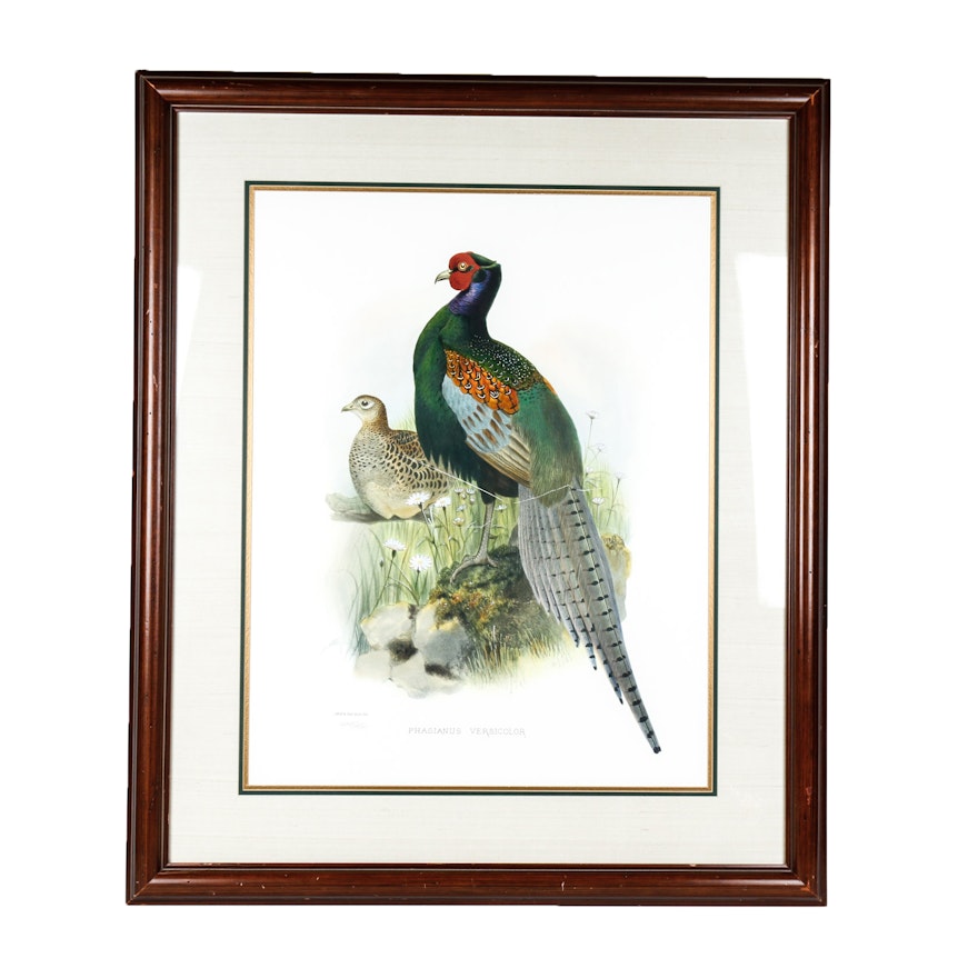 Daniel Giraud Elliot Limited Edition Lithograph "Phasianus Versicolor"