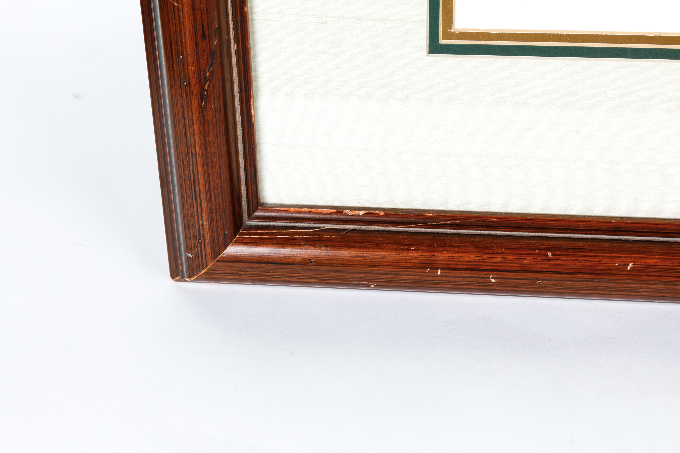 Daniel Giraud Elliot Limited Edition Lithograph "Phasianus Versicolor"