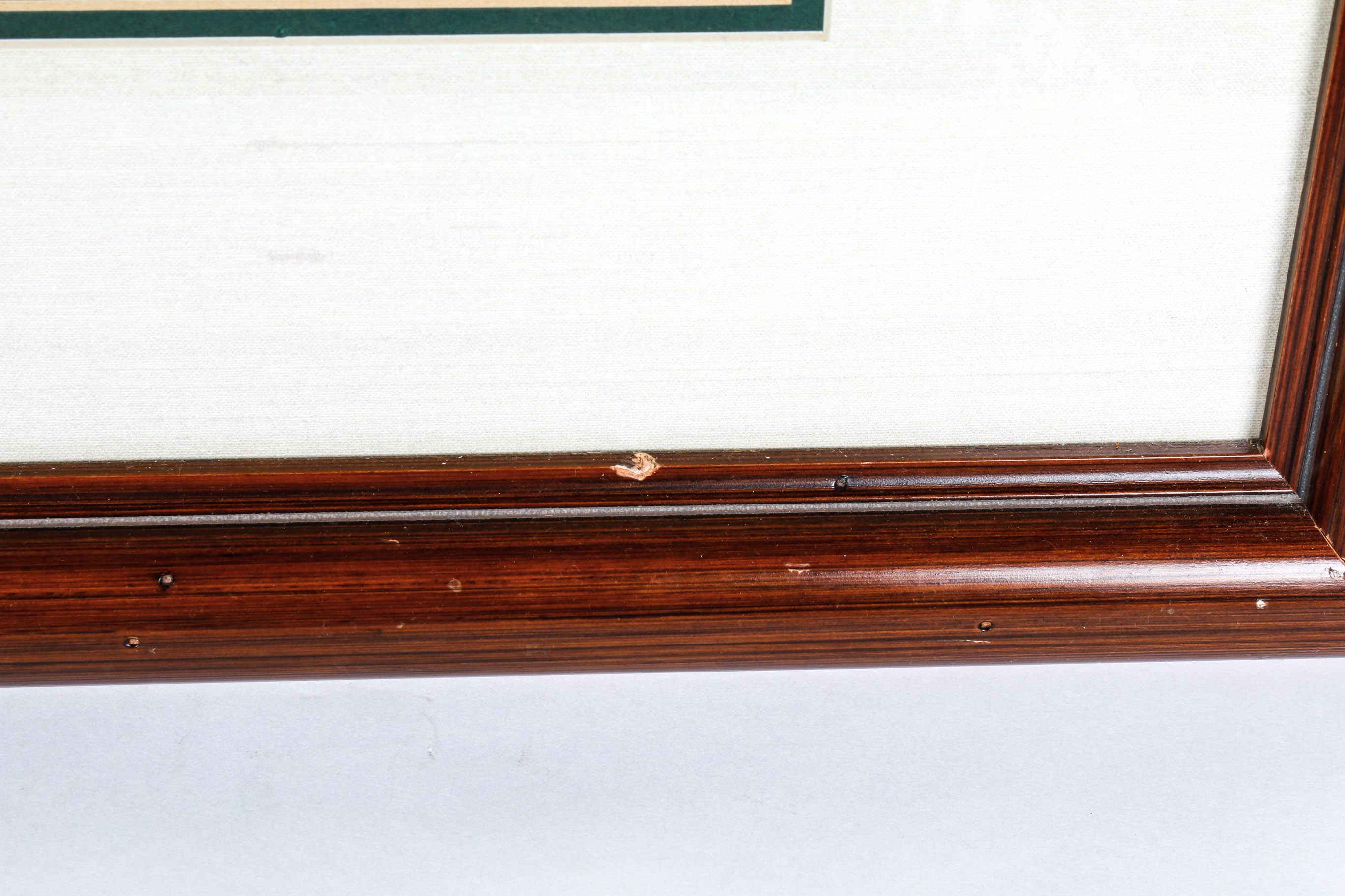 Daniel Giraud Elliot Limited Edition Lithograph "Phasianus Versicolor"