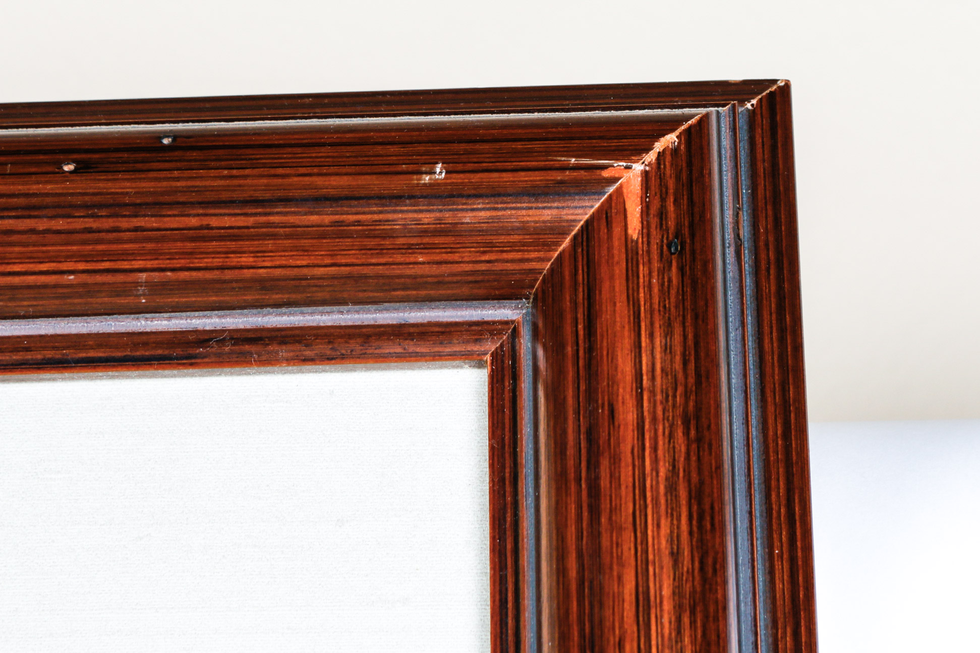 Daniel Giraud Elliot Limited Edition Lithograph "Phasianus Versicolor"