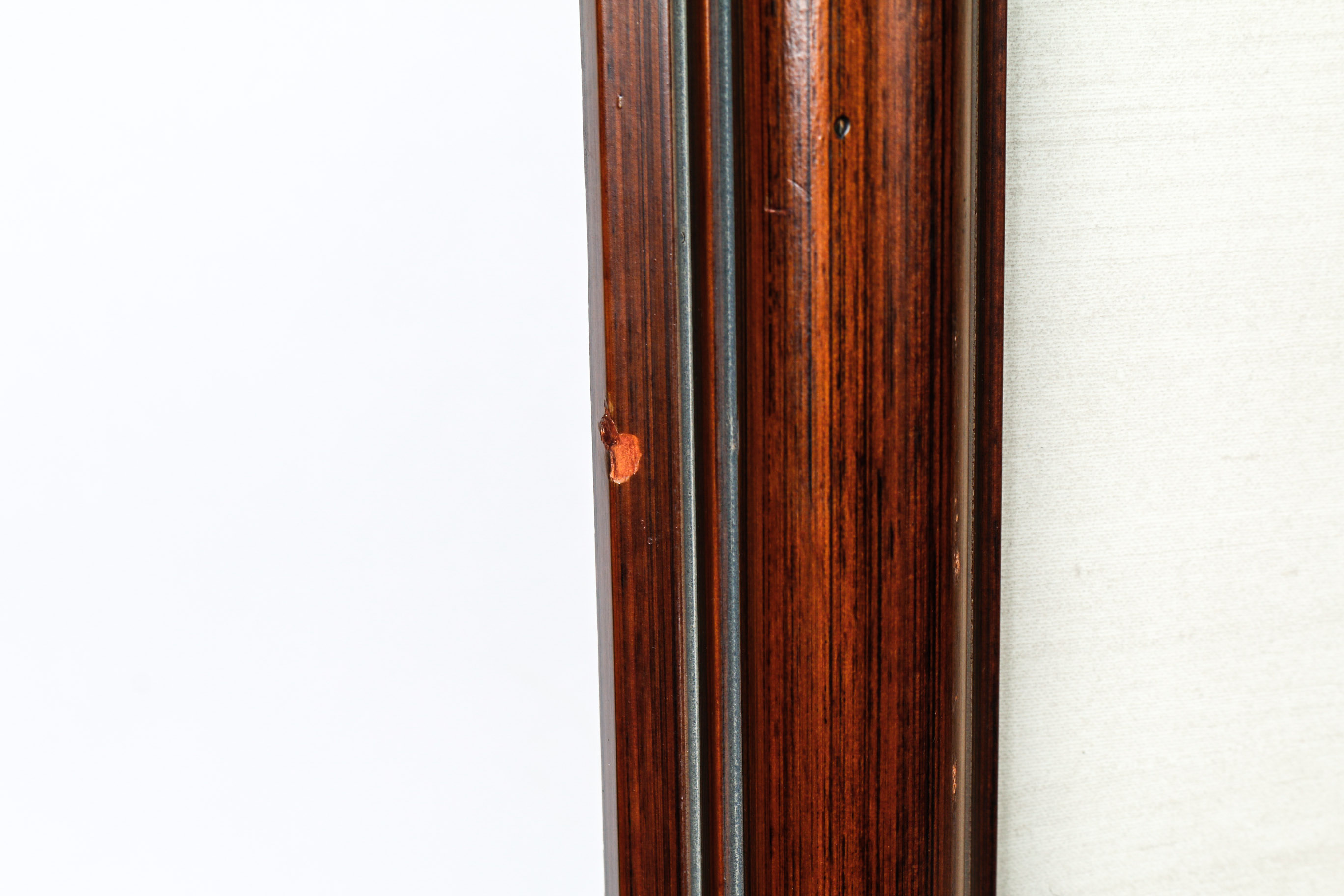 Daniel Giraud Elliot Limited Edition Lithograph "Phasianus Versicolor"