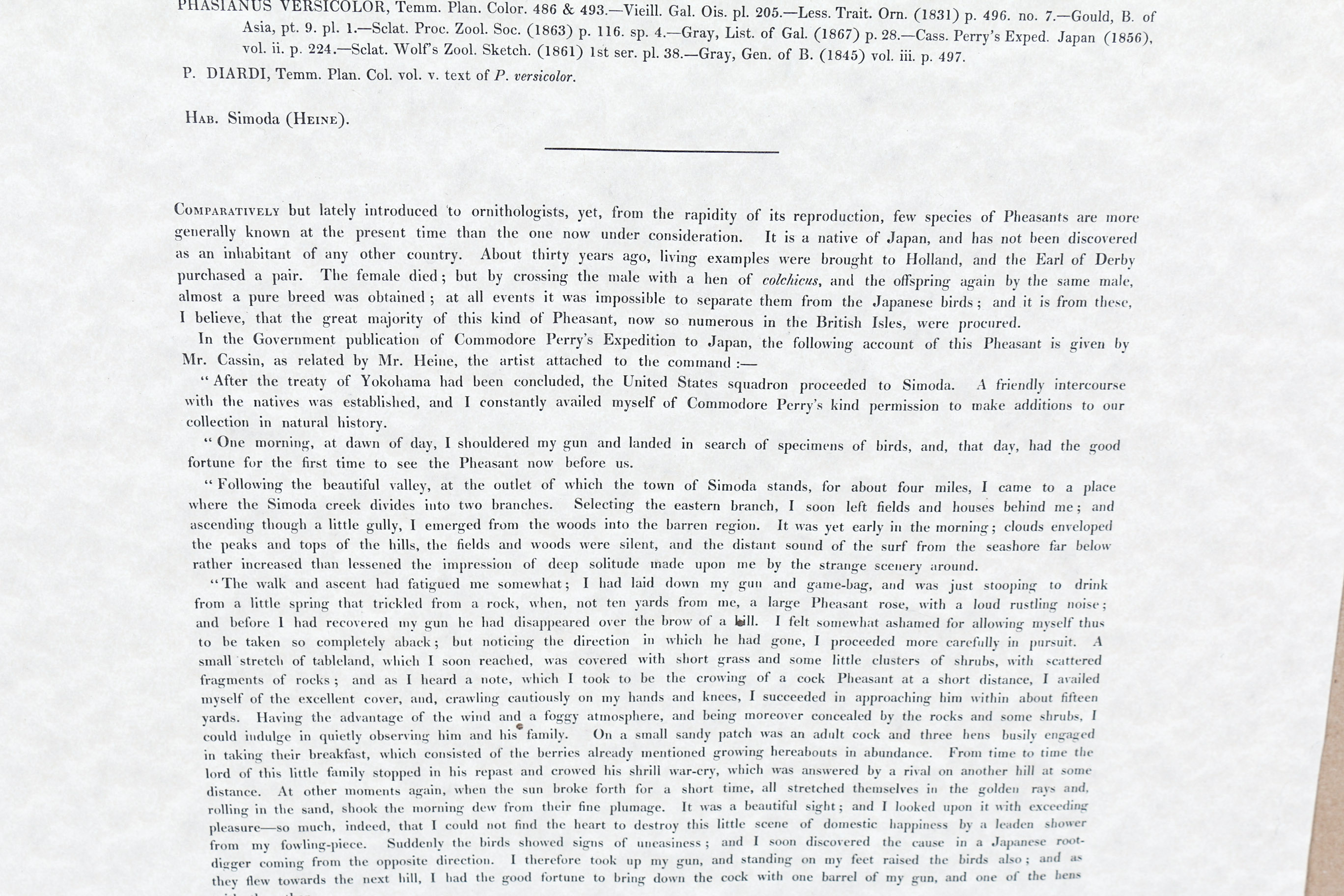 Daniel Giraud Elliot Limited Edition Lithograph "Phasianus Versicolor"