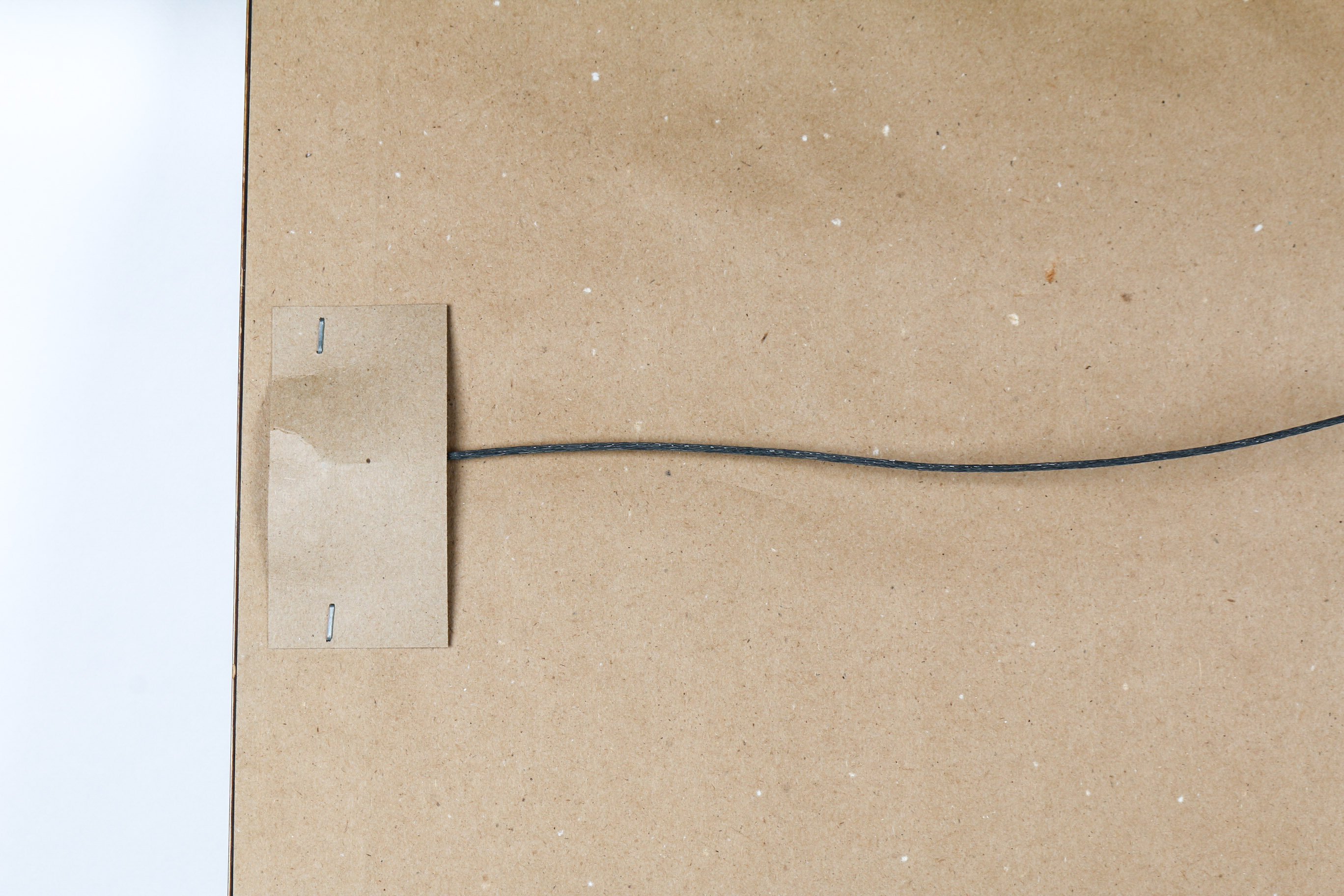 Daniel Giraud Elliot Limited Edition Lithograph "Phasianus Versicolor"