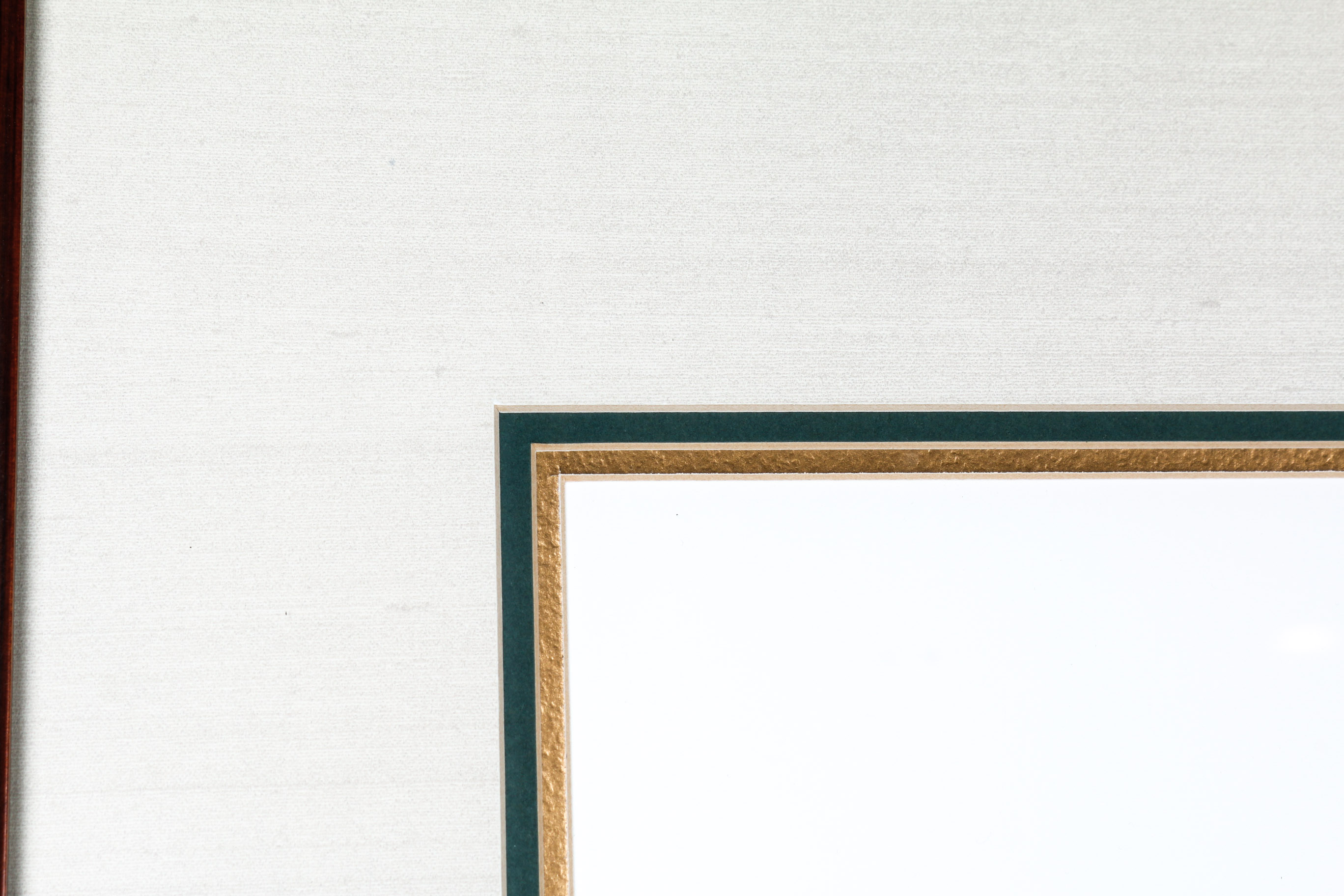 Daniel Giraud Elliot Limited Edition Lithograph "Phasianus Decollatus"