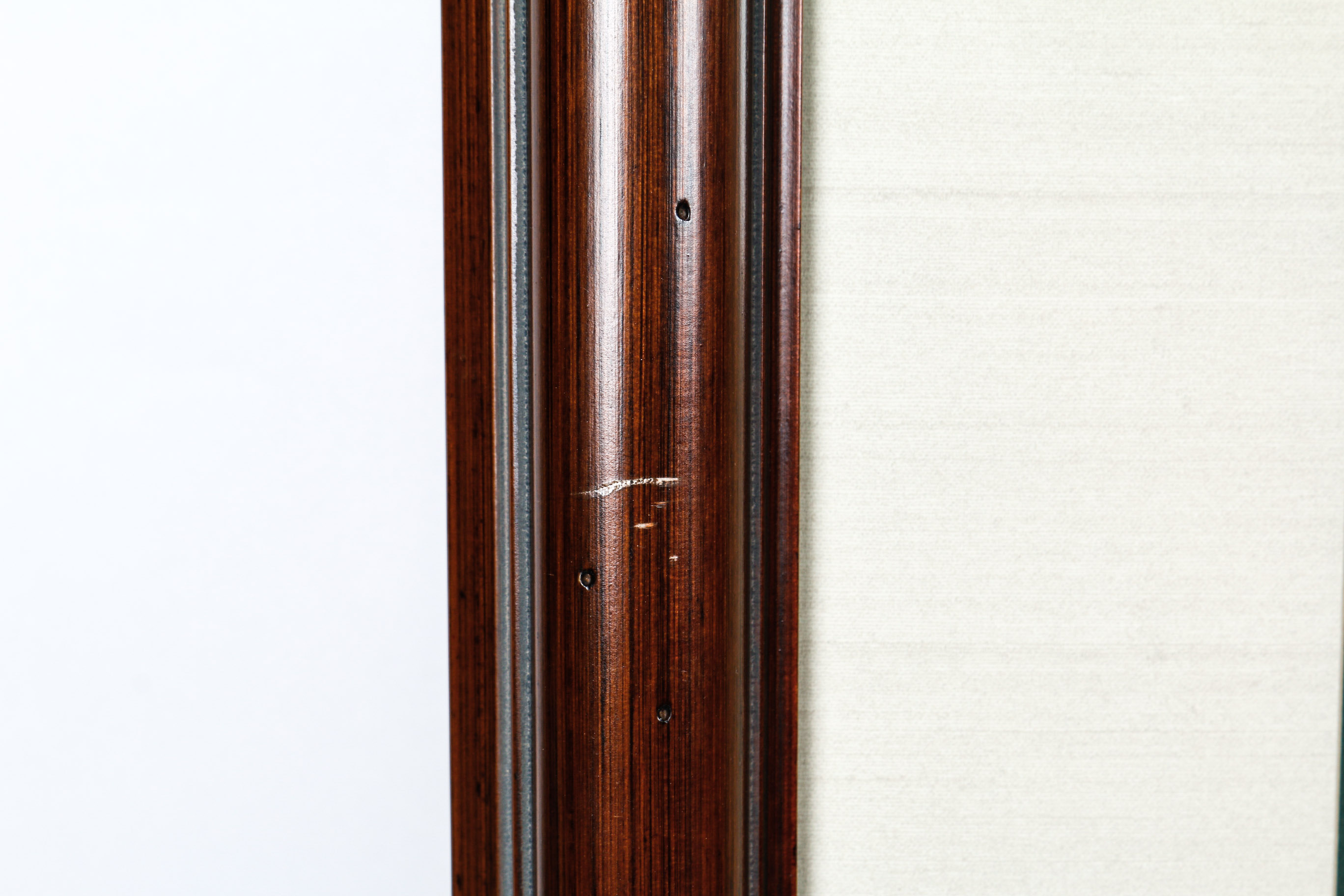 Daniel Giraud Elliot Limited Edition Lithograph "Phasianus Decollatus"