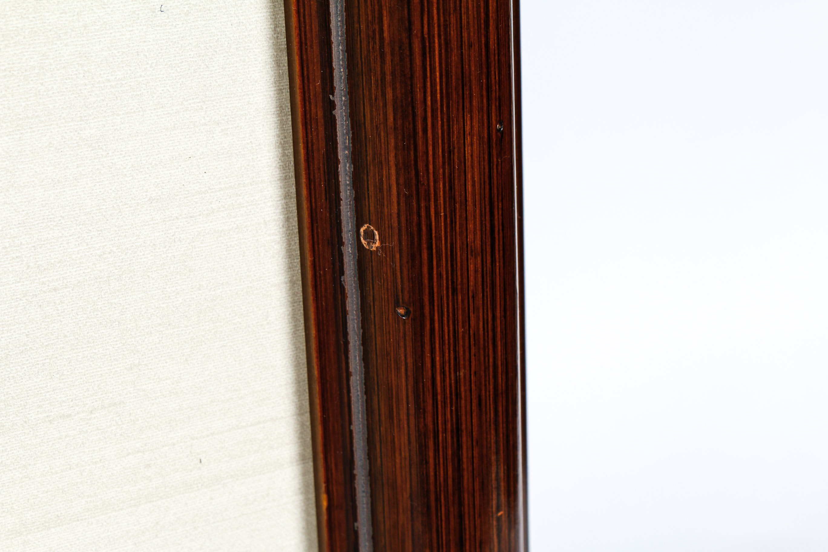 Daniel Giraud Elliot Limited Edition Lithograph "Phasianus Decollatus"