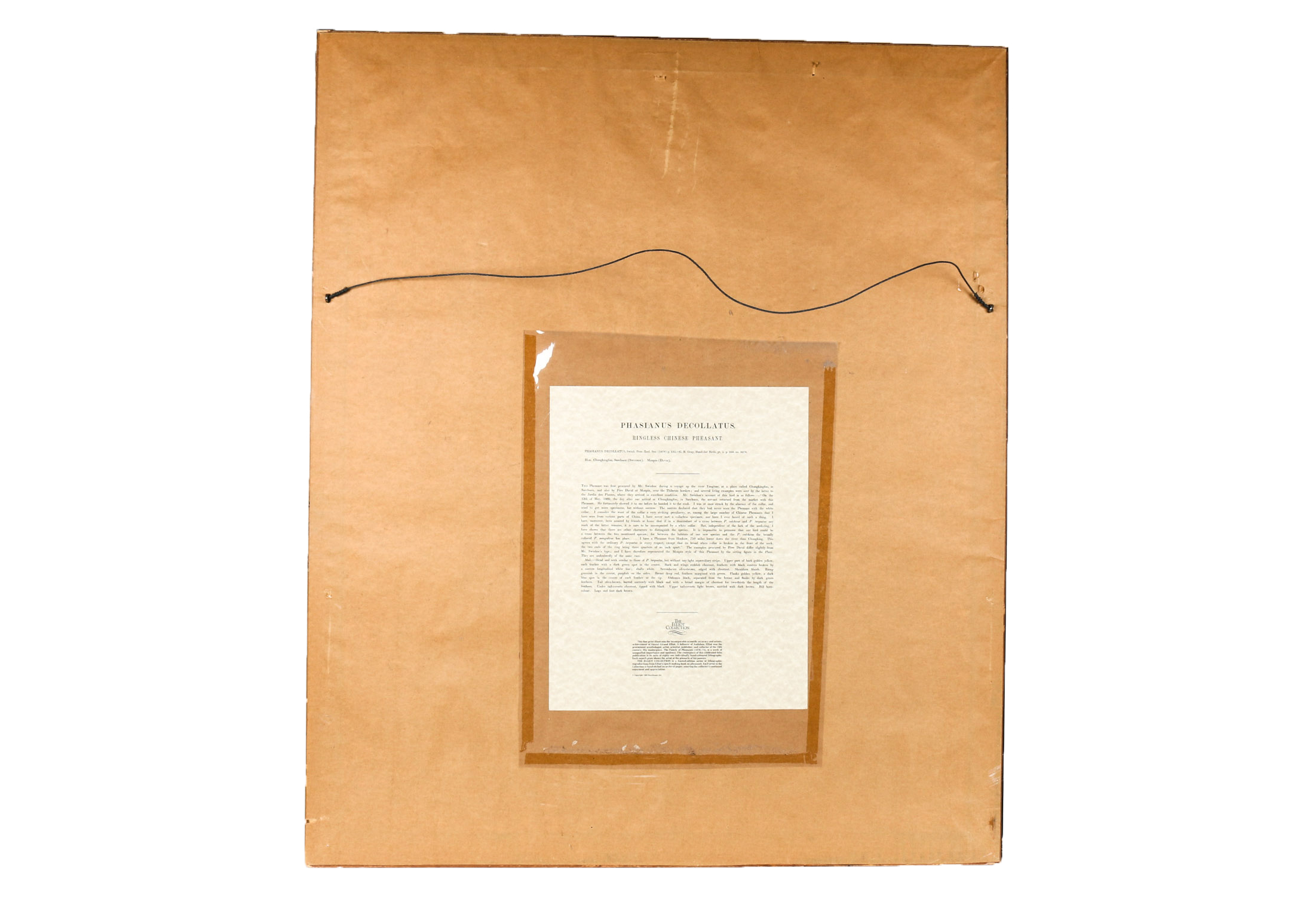 Daniel Giraud Elliot Limited Edition Lithograph "Phasianus Decollatus"