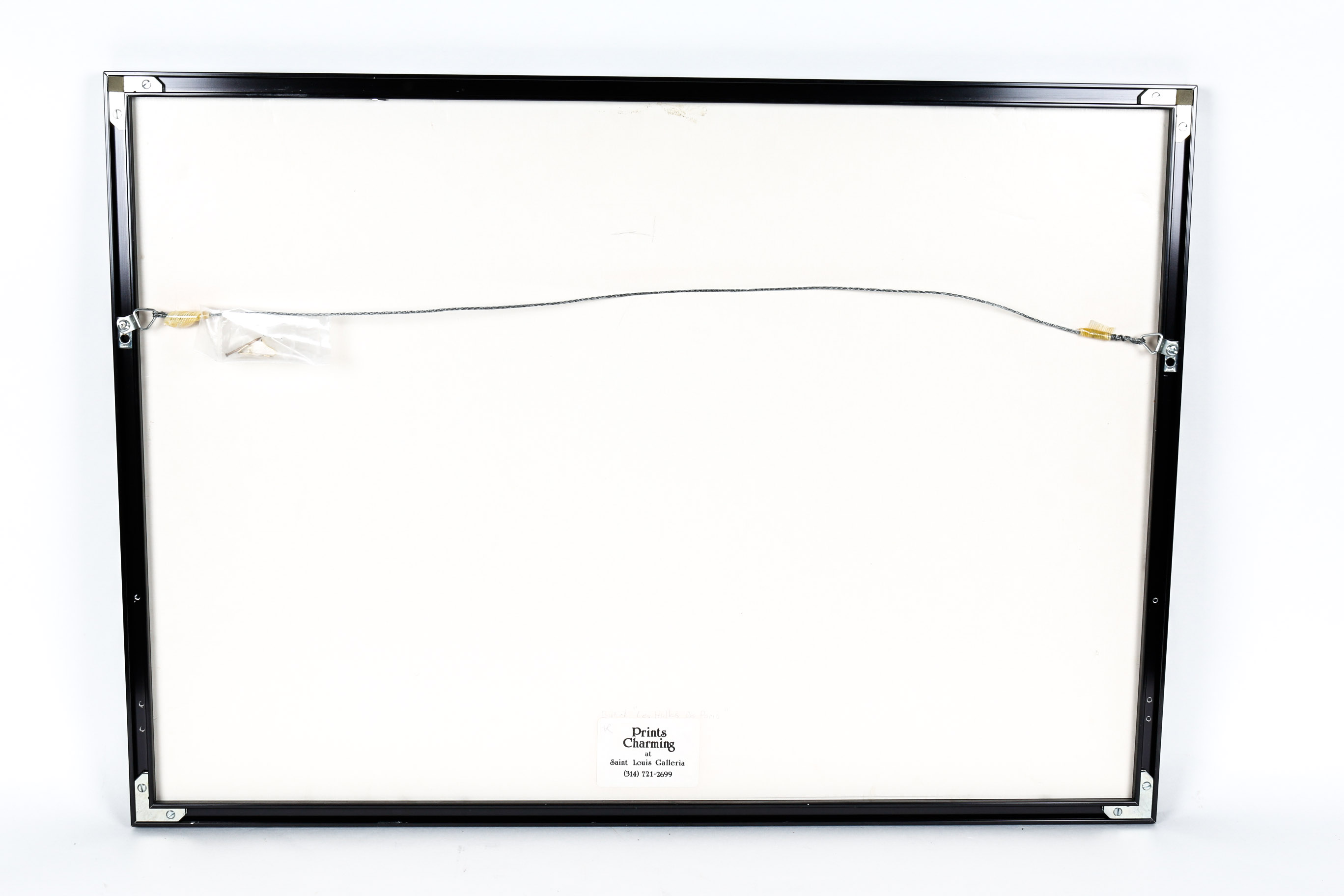 Baltard Lithograph "Les Halles de Paris" and Book