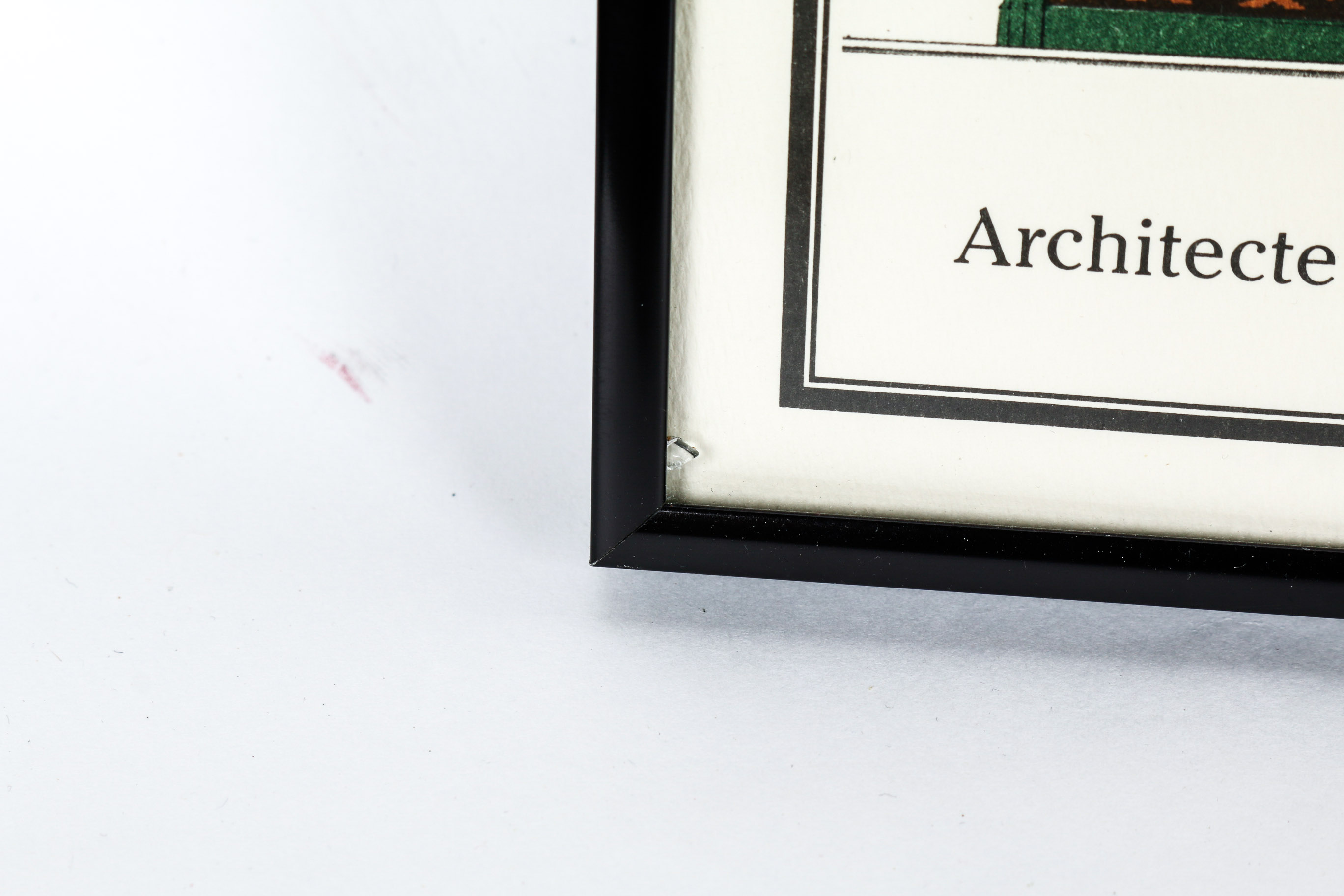 Baltard Lithograph "Les Halles de Paris" and Book