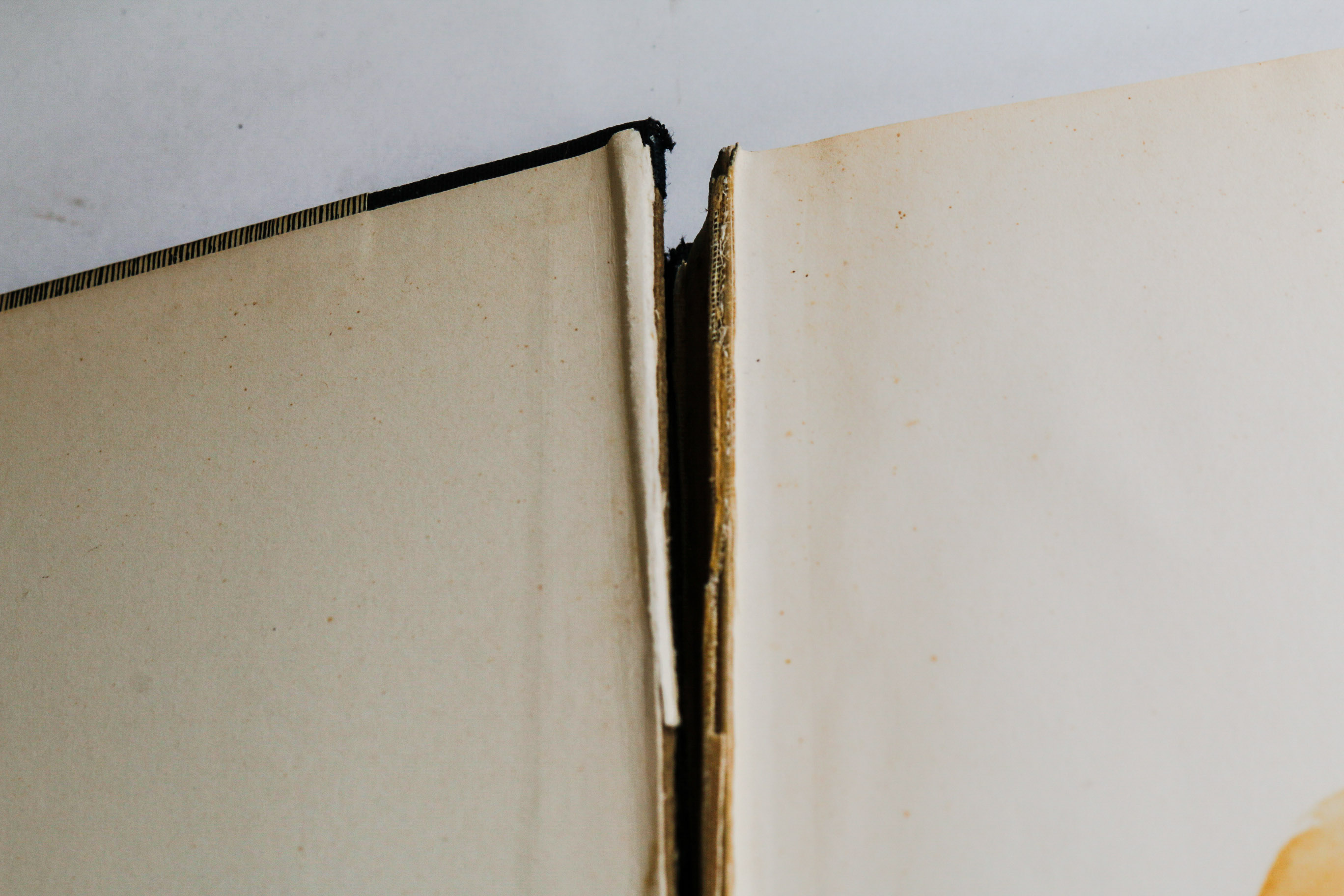 Collection of Mid Century Design and Art Books