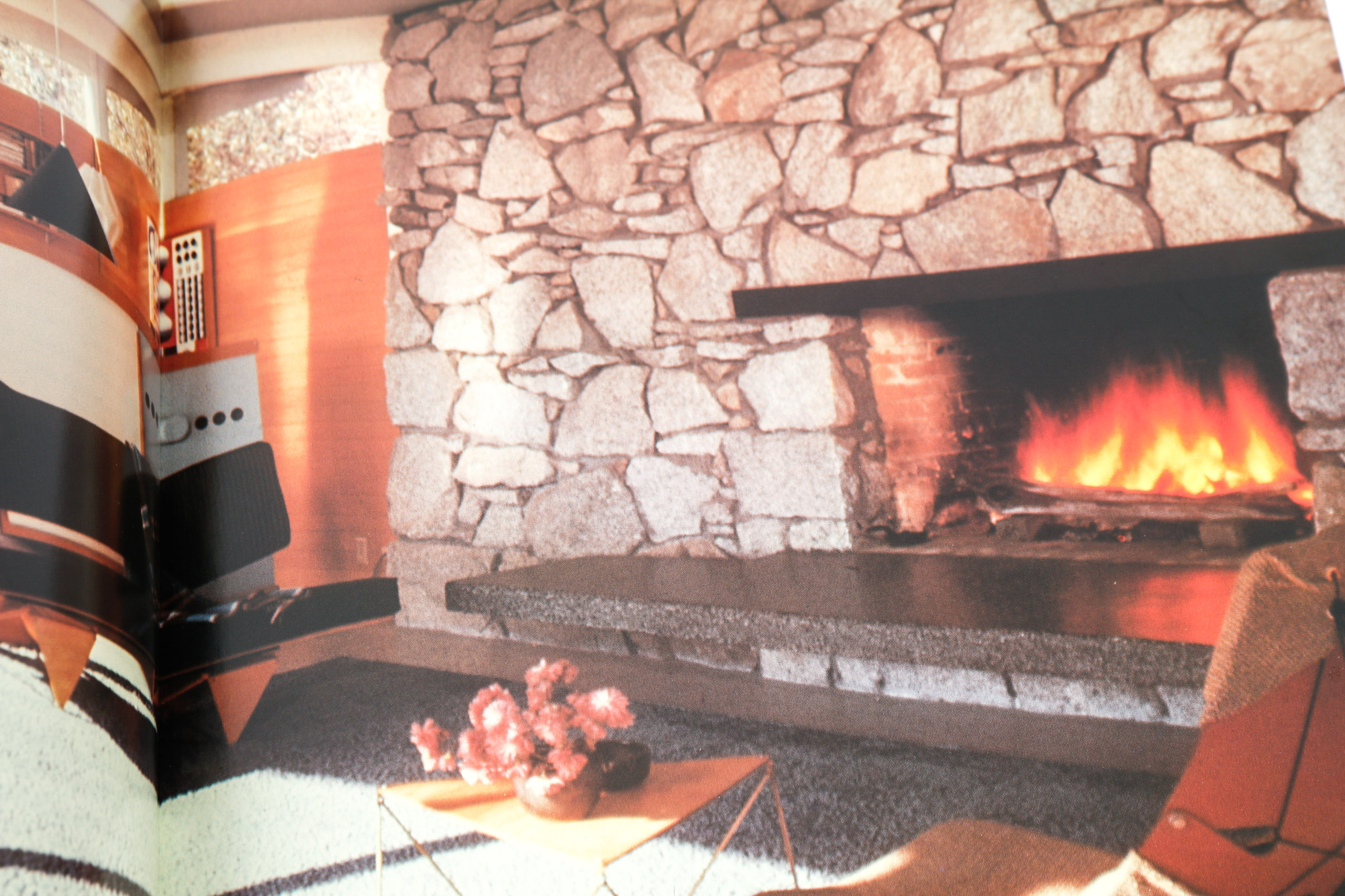 Collection of Mid Century Design and Art Books