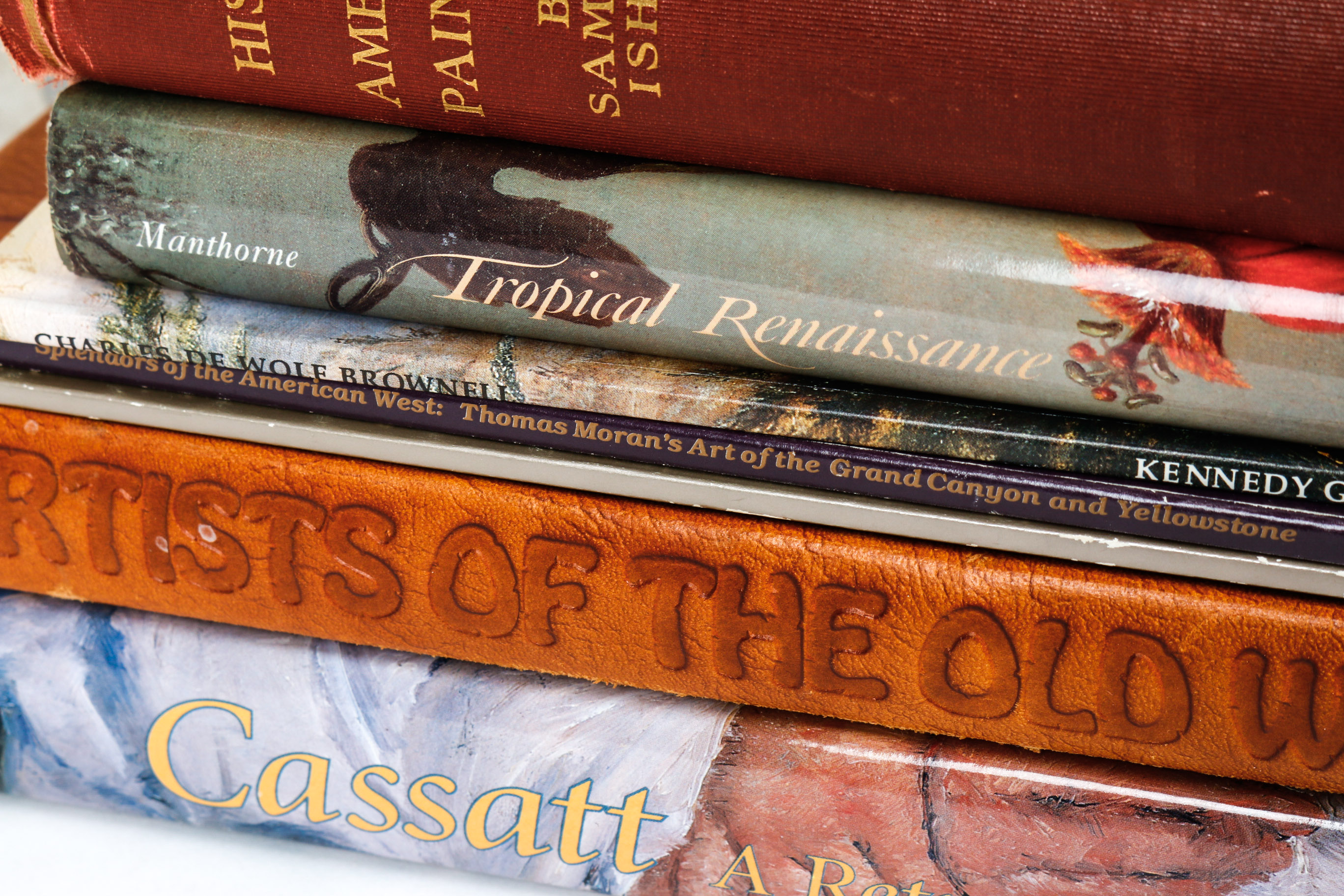 Collection of American Art Books