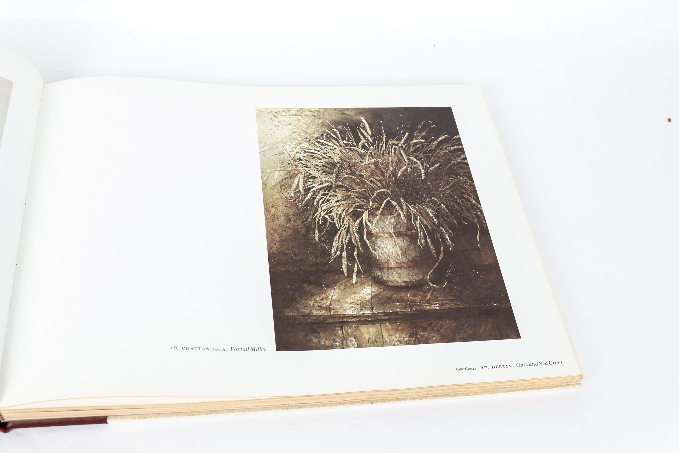 Collection of American Art Books