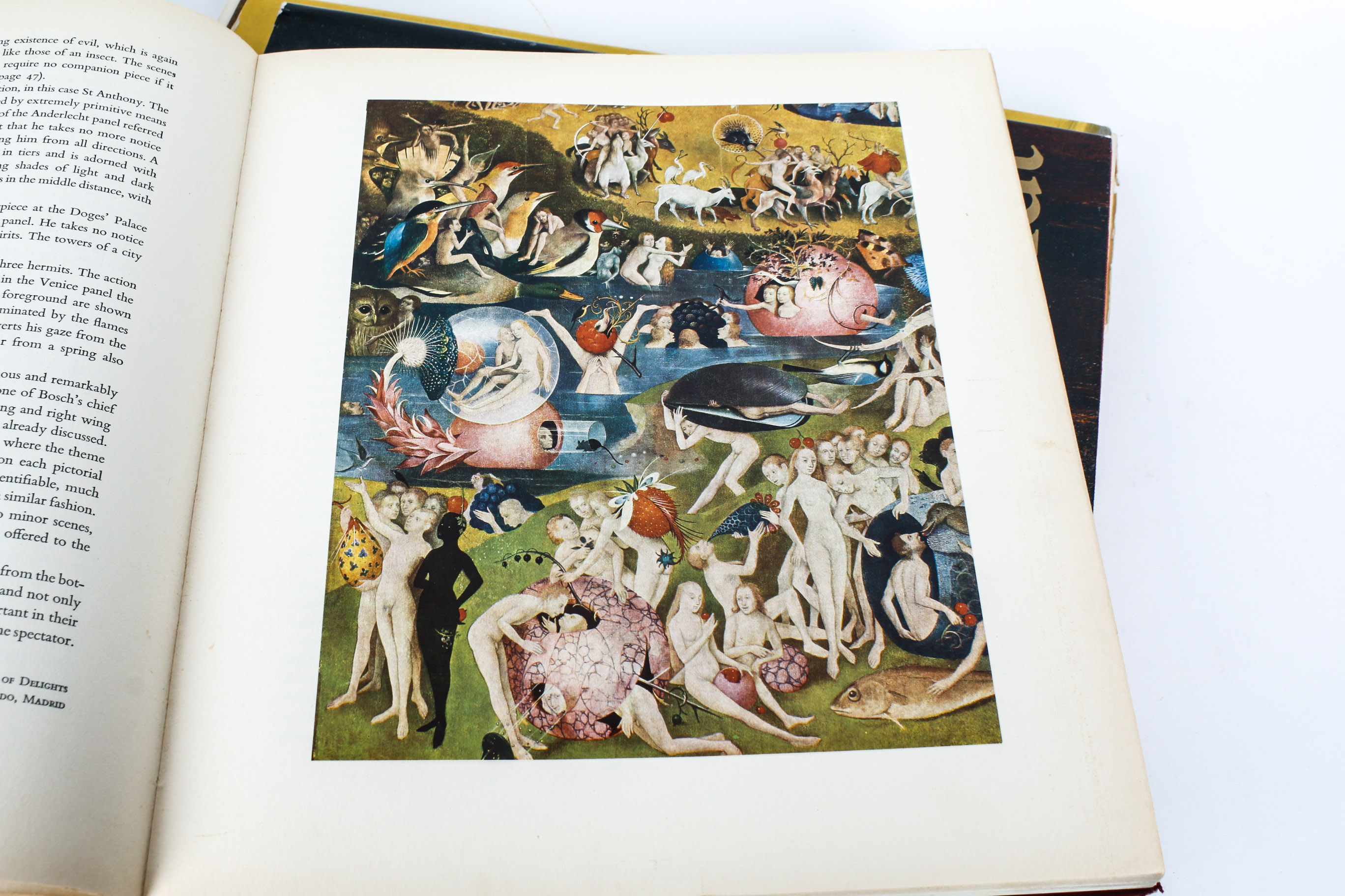 Collection of European Art Books